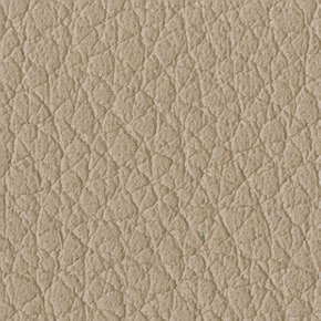 Beige C41