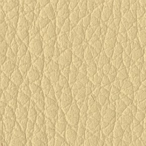 Cream C42