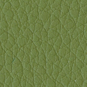 Olive C50