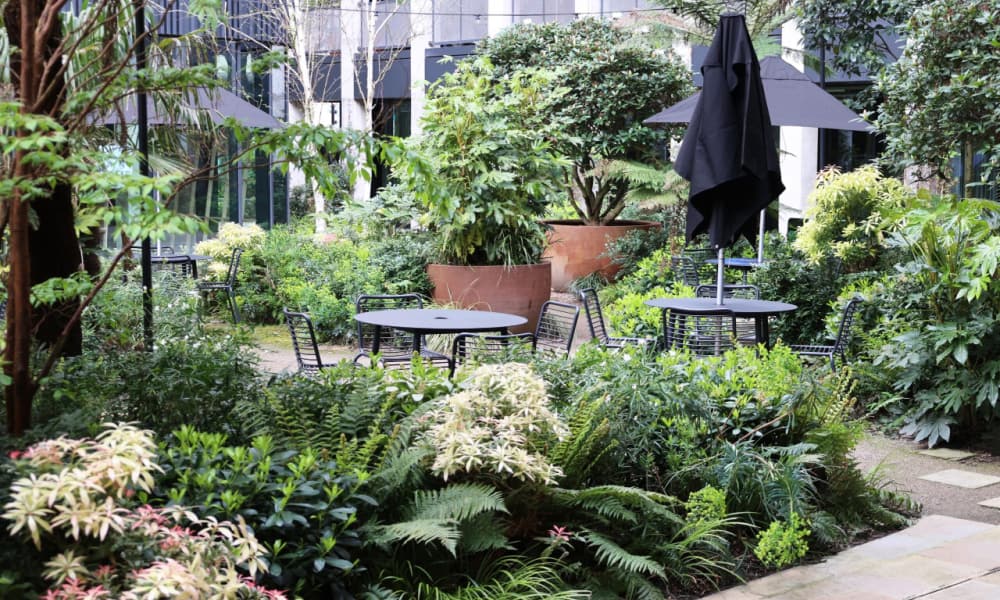How to Buy Sustainable Furniture