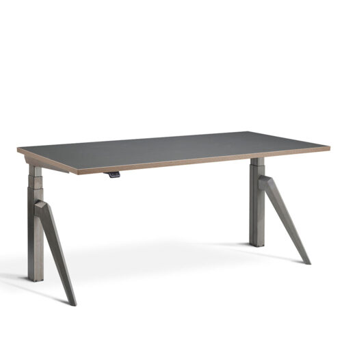 Five Standing Desk