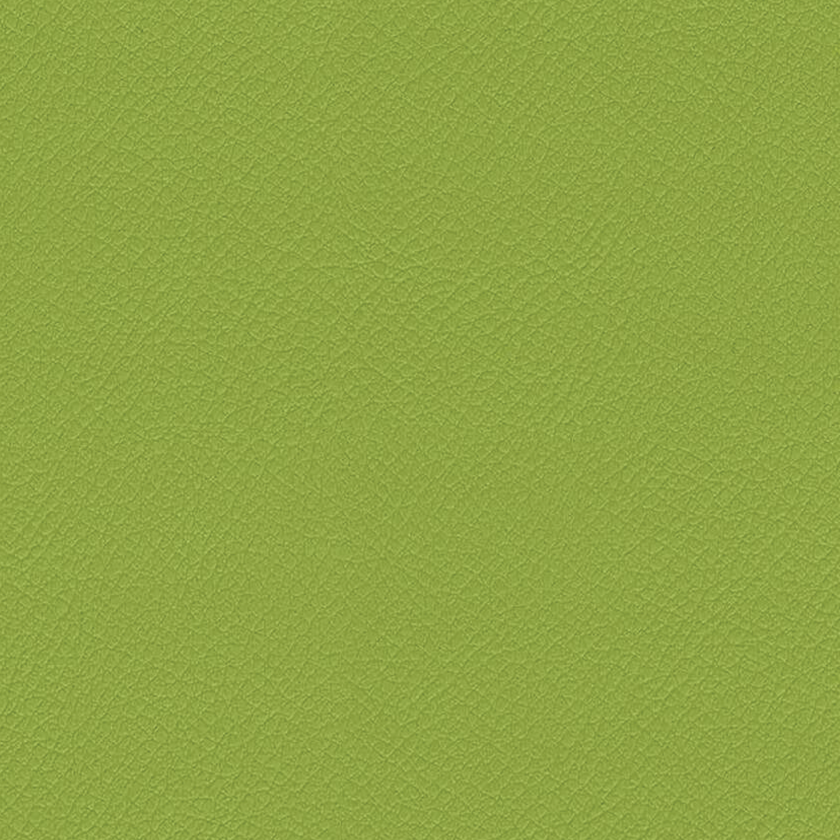 VITA-ITA06-AVOCADO