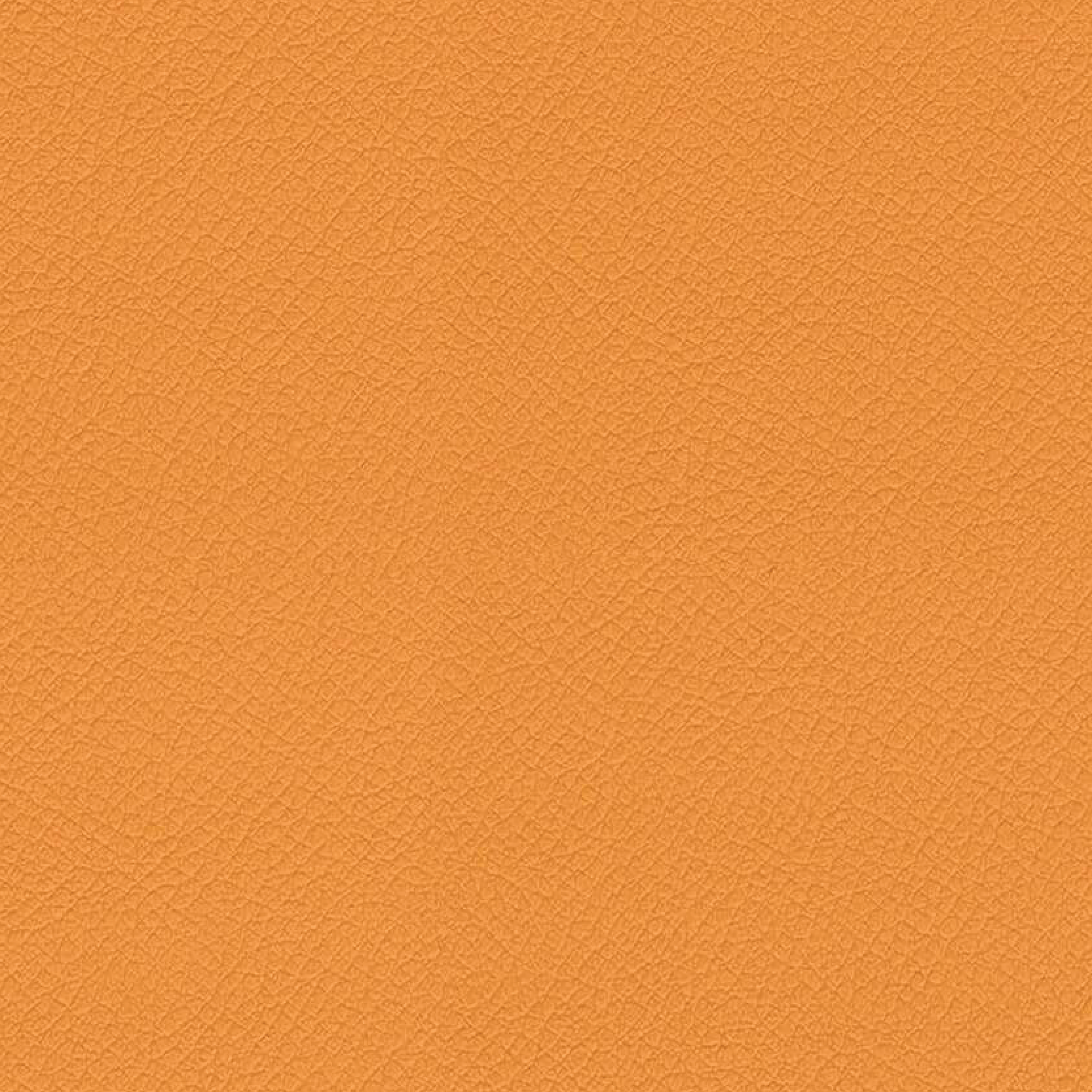 VITA-ITA08-YELLOW