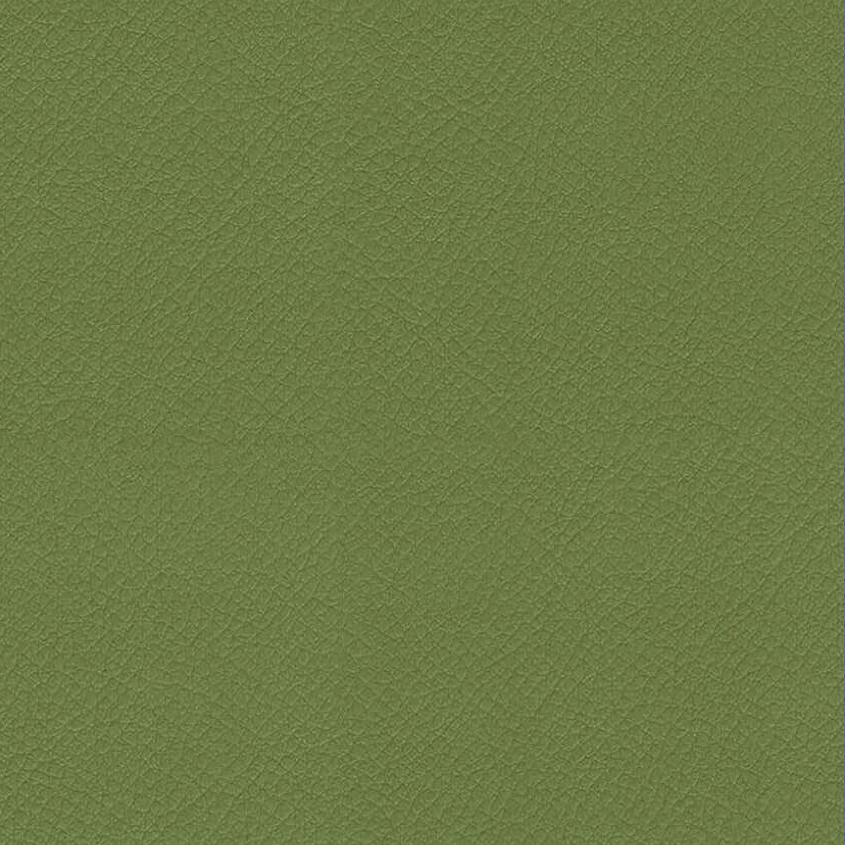 VITA-ITA09-OLIVE