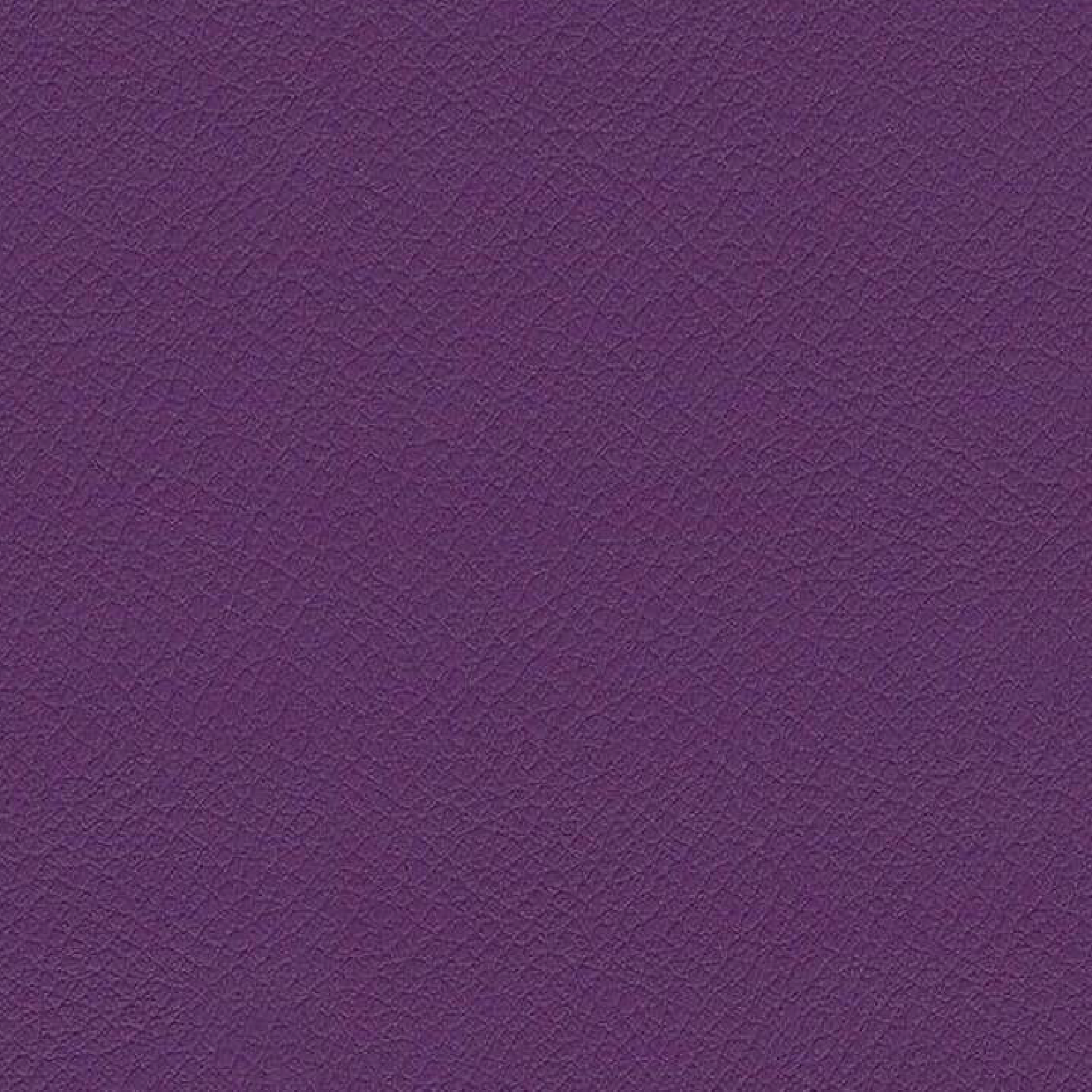 VITA-ITA17-AMETHYST
