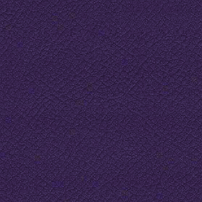 VITA-ITA23-PLUM