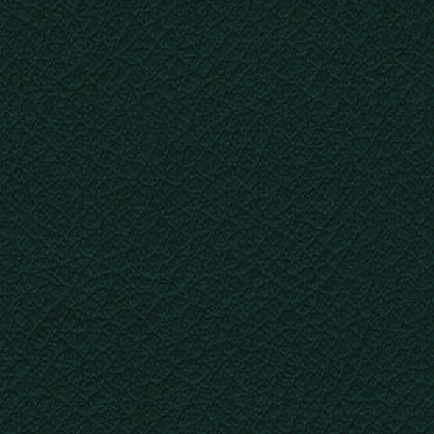 VITA-ITA31-SEAWEED