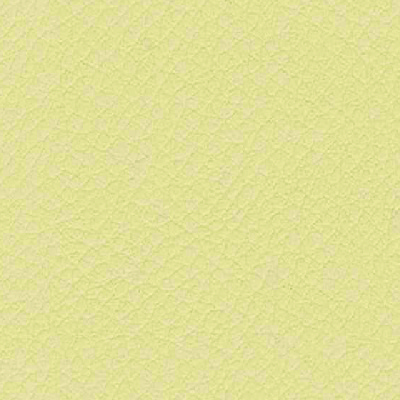 VITA-ITA37-CORNSILK