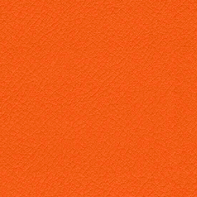 VITA-ITA41-CARROT