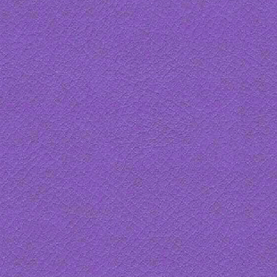 VITA-ITA49-WISTERIA