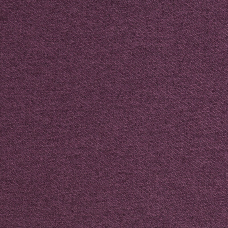 Aubergine