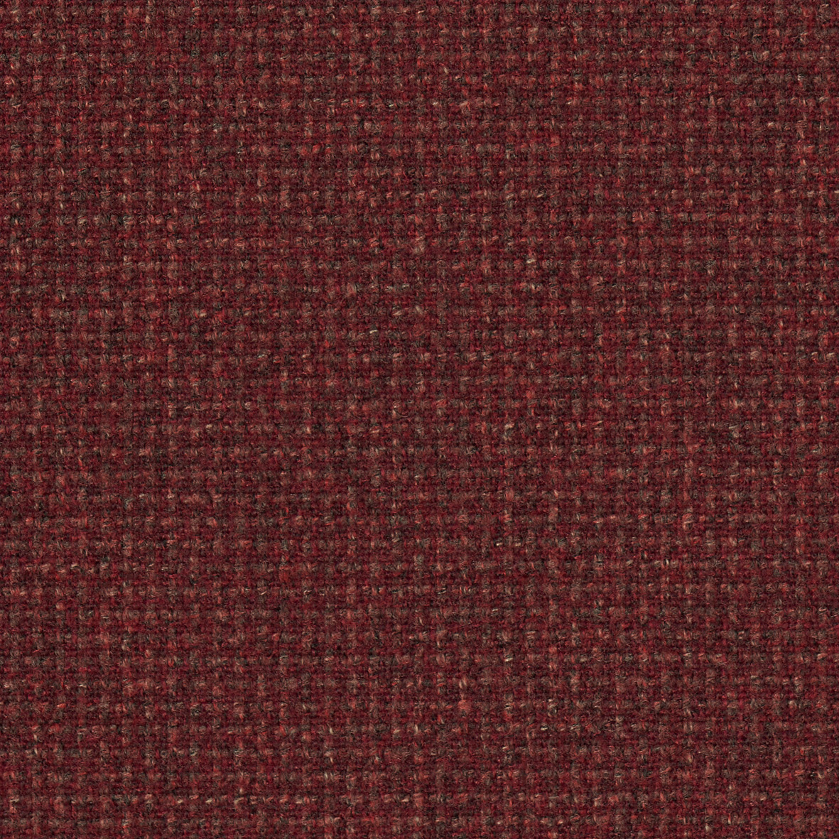 3101