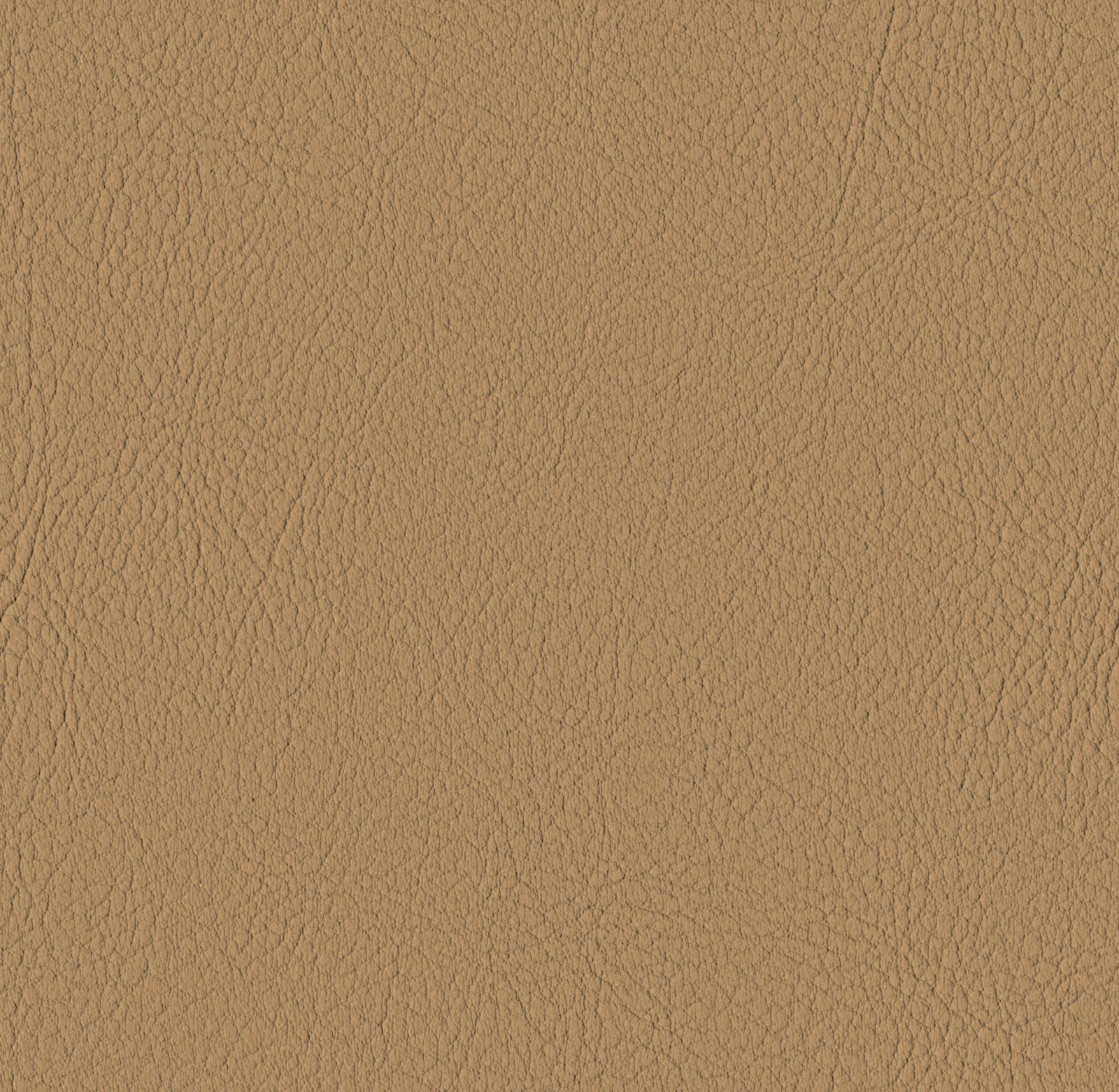  Cashmere