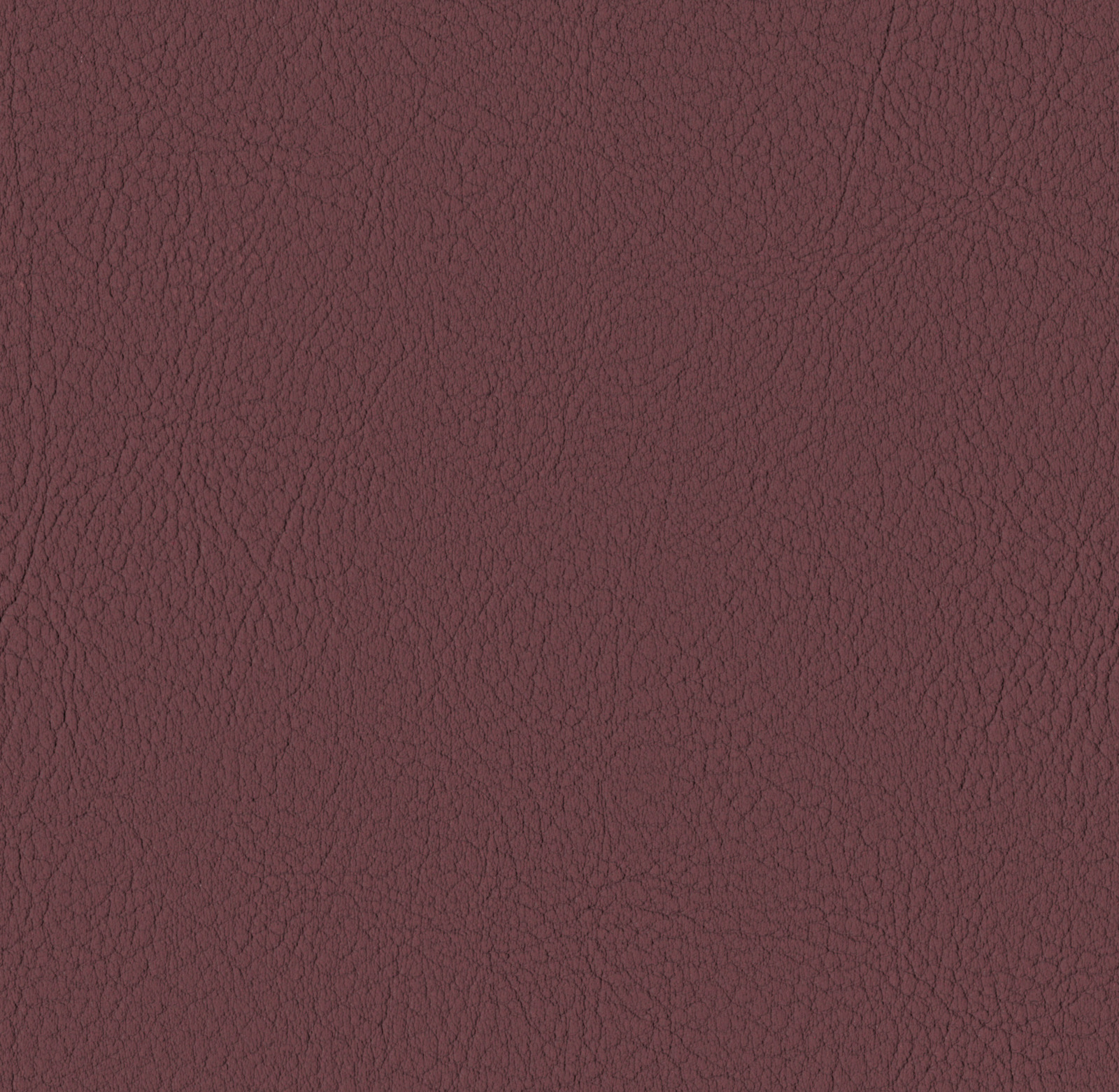 Merlot