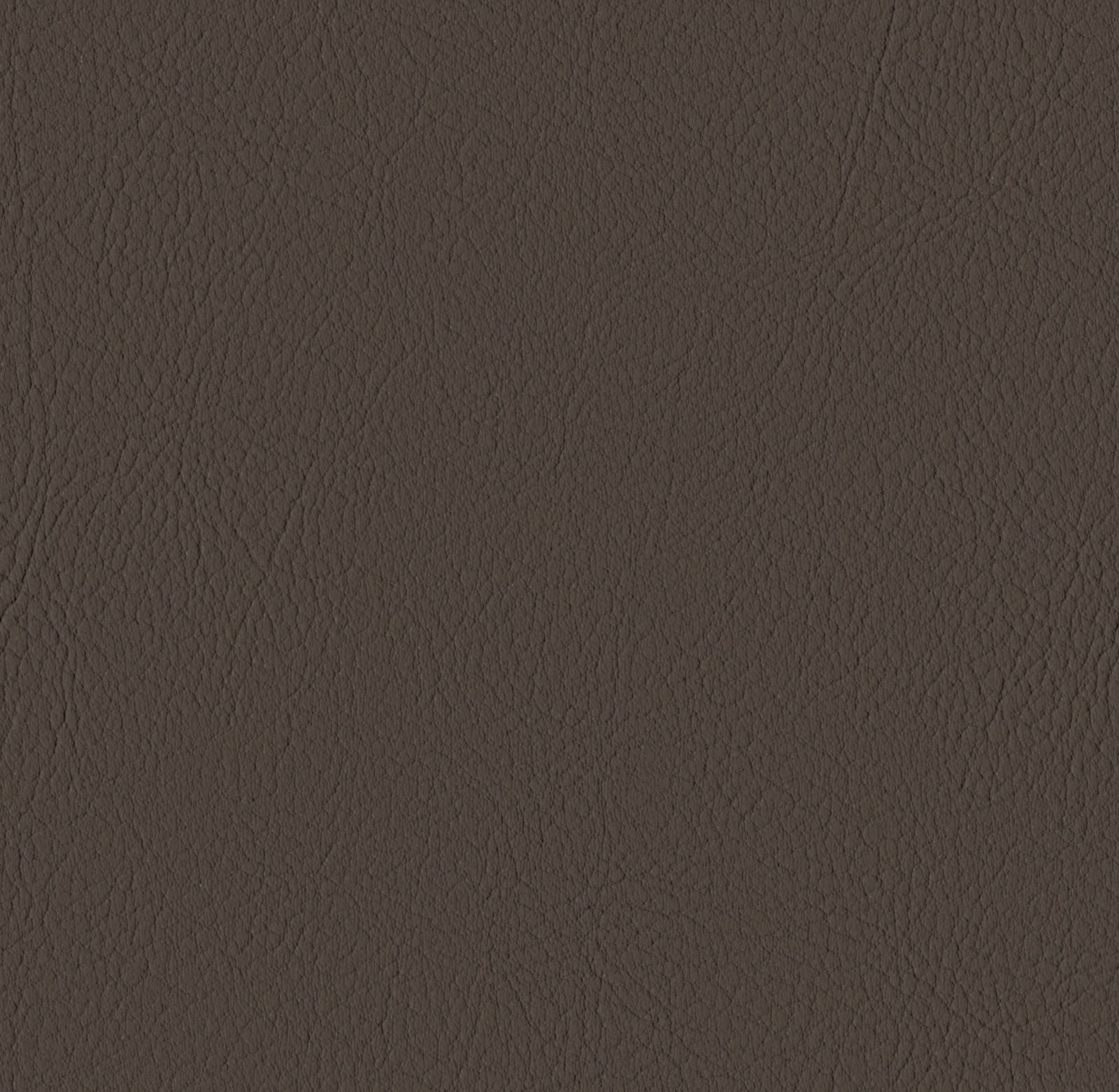 Mocca