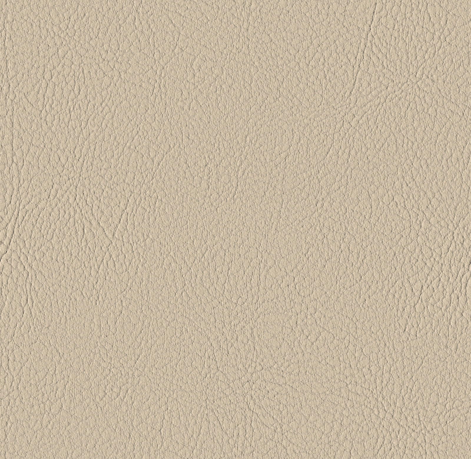 Sisal
