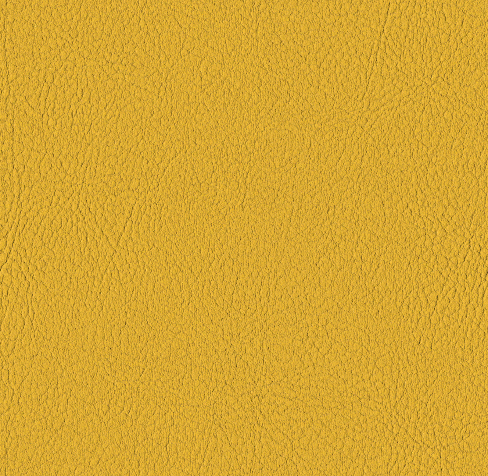 Squash