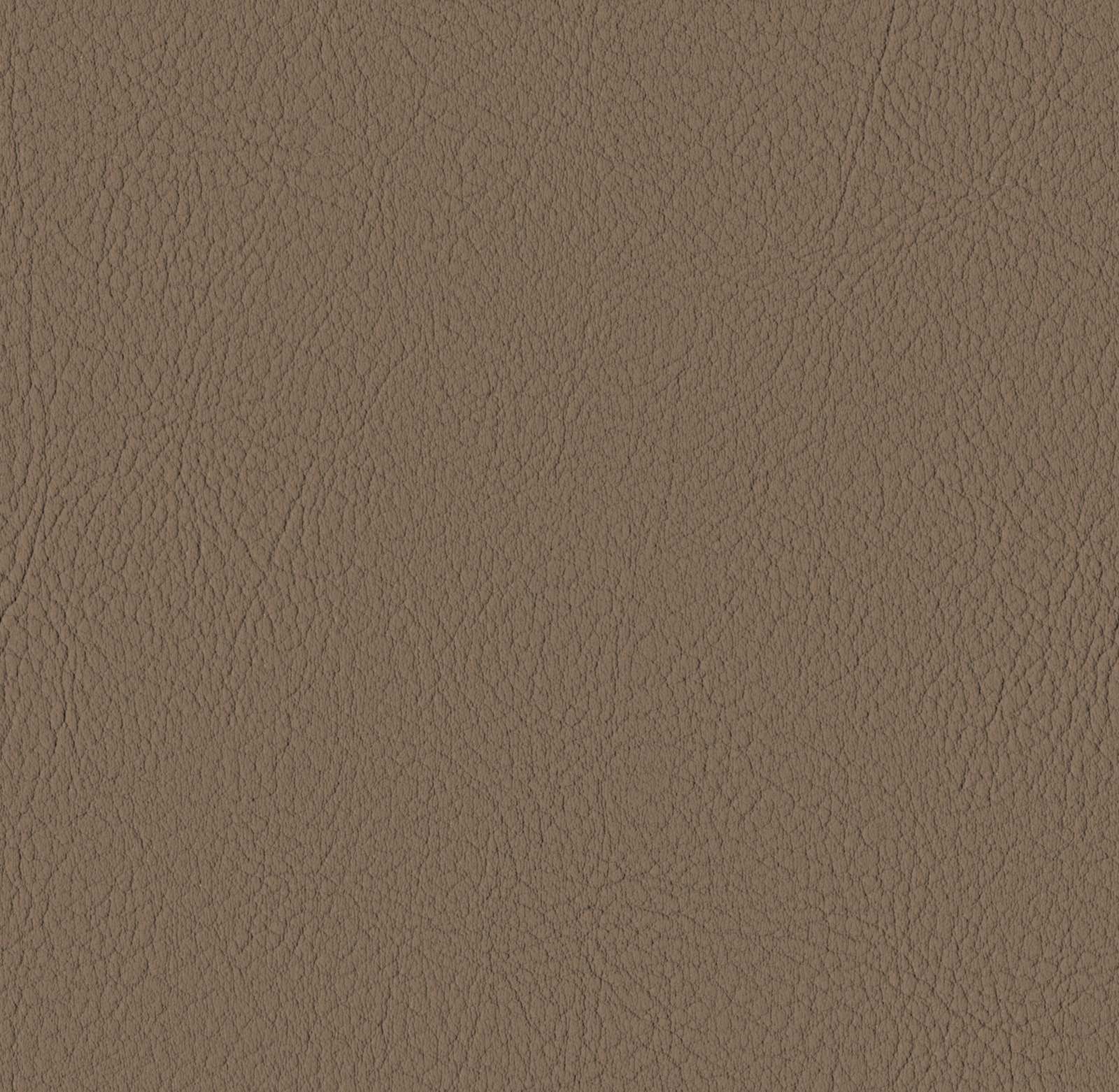 Sumatra