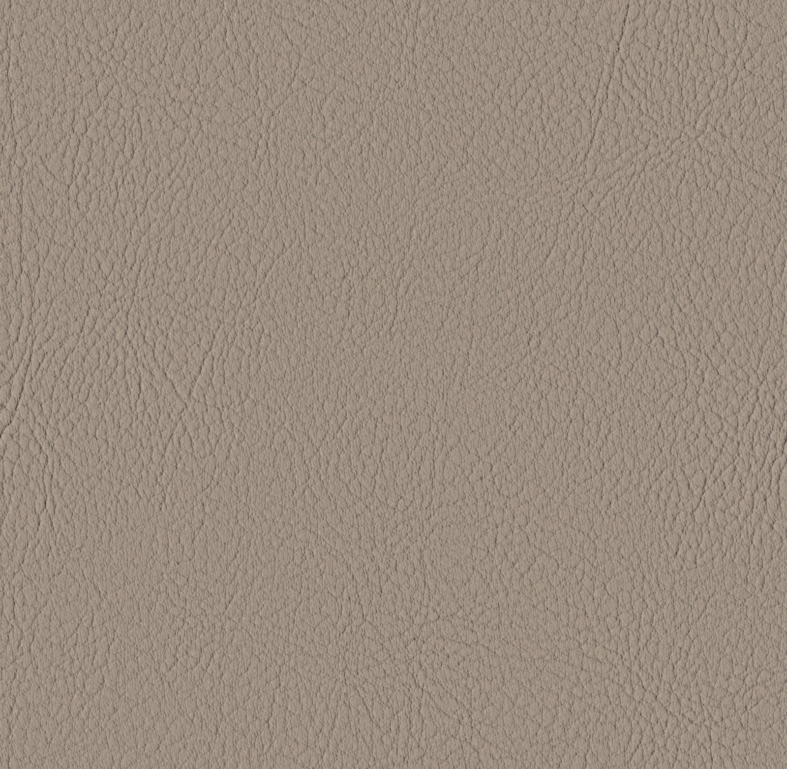Warm Grey