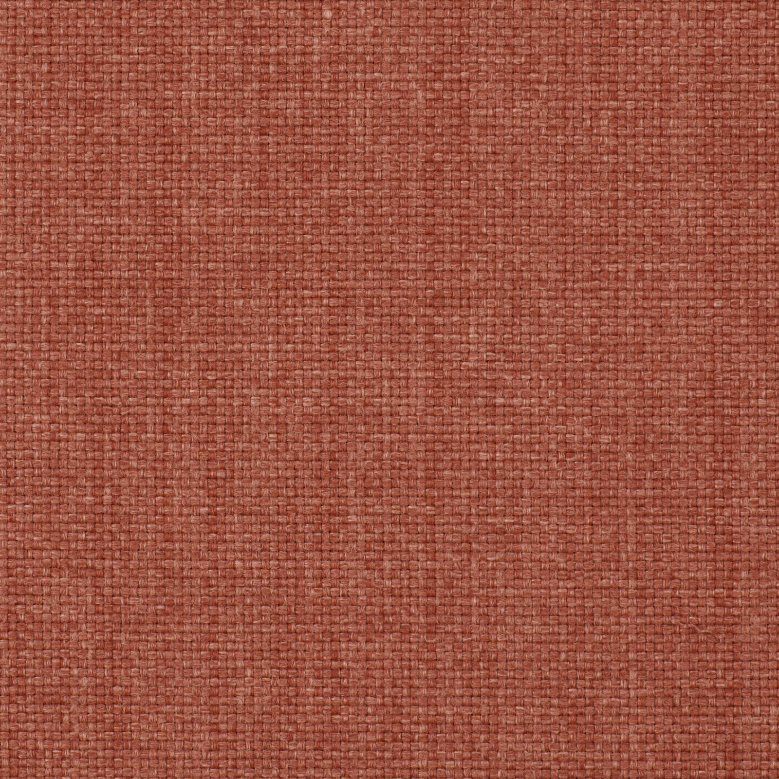 Hazelnut