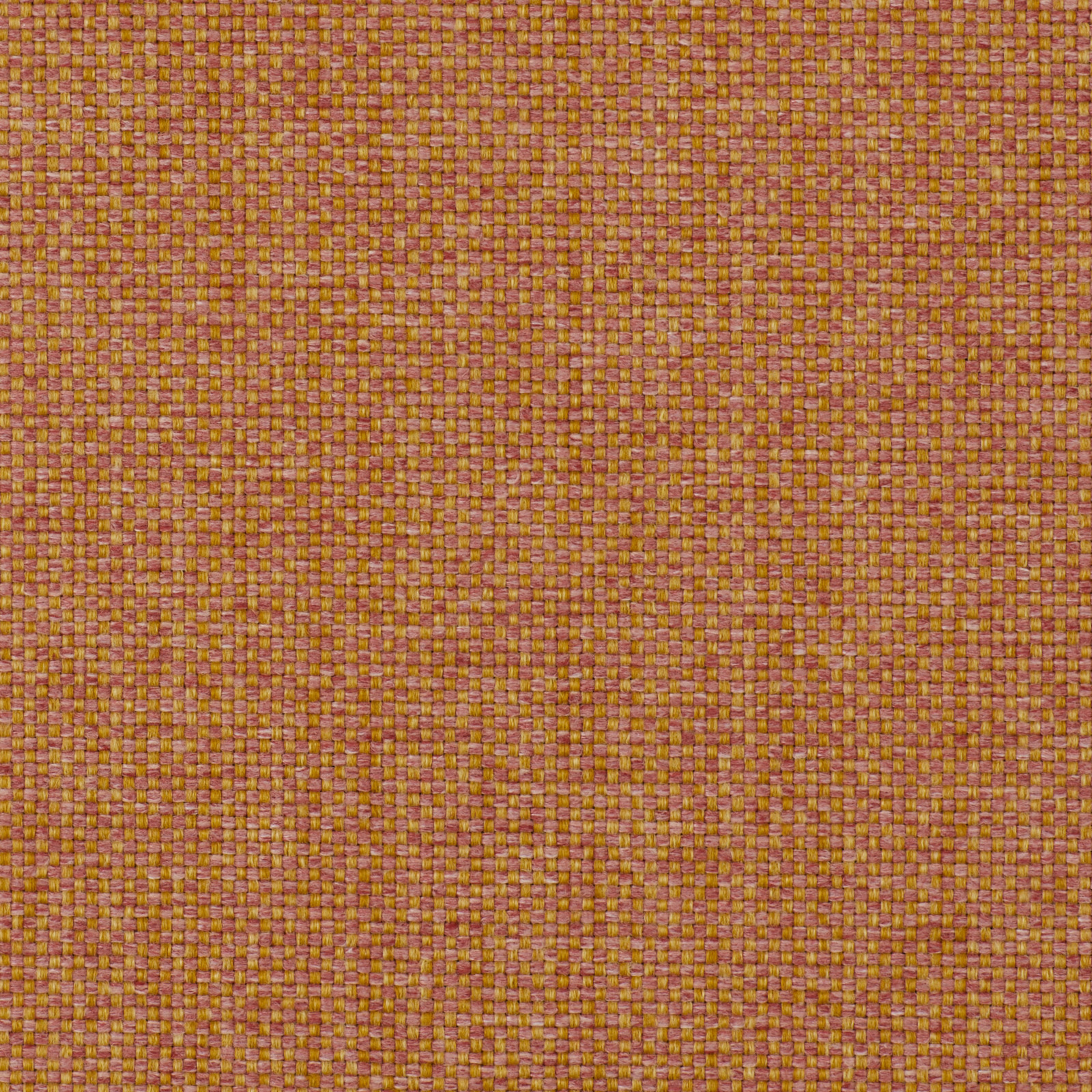 Russet