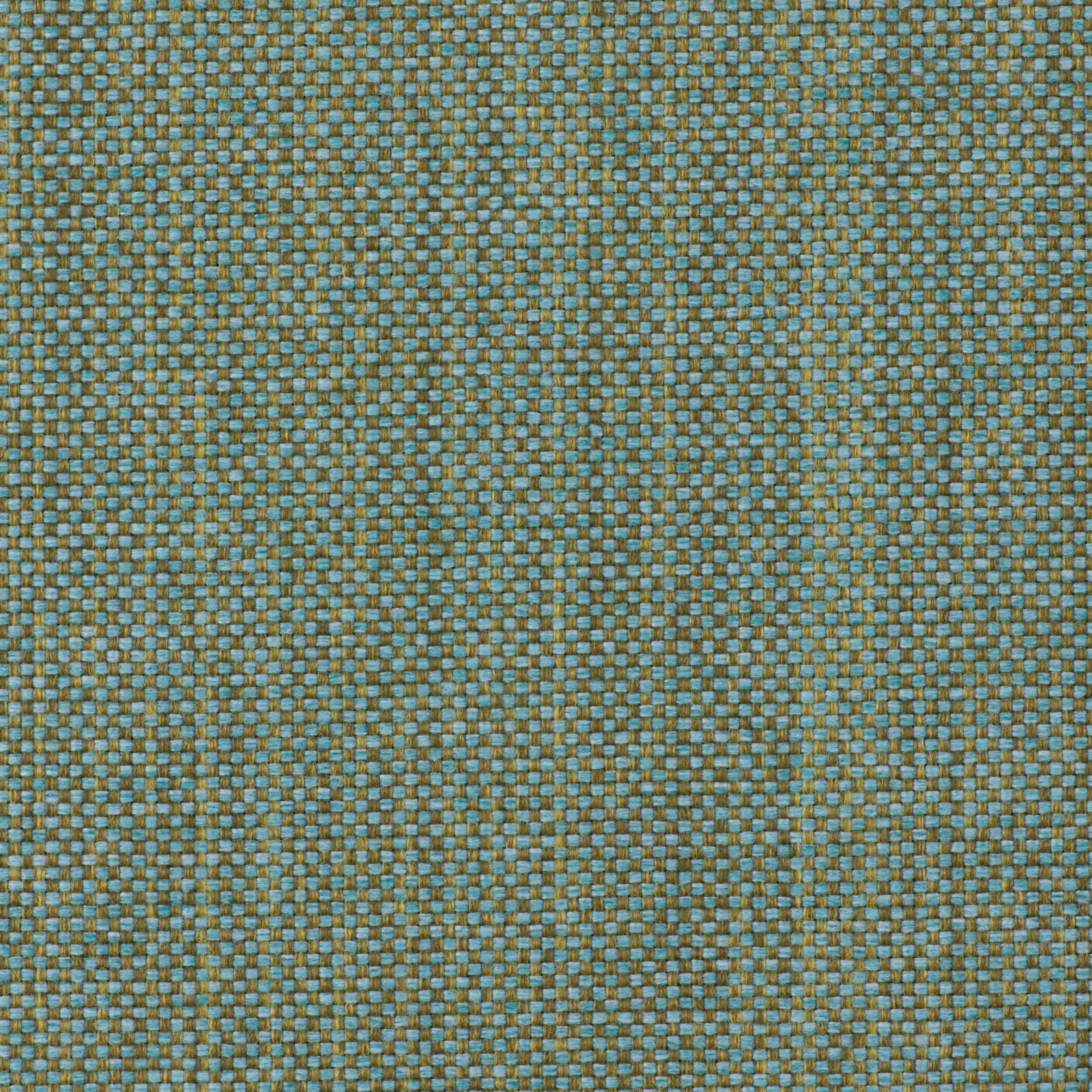 Seagrass