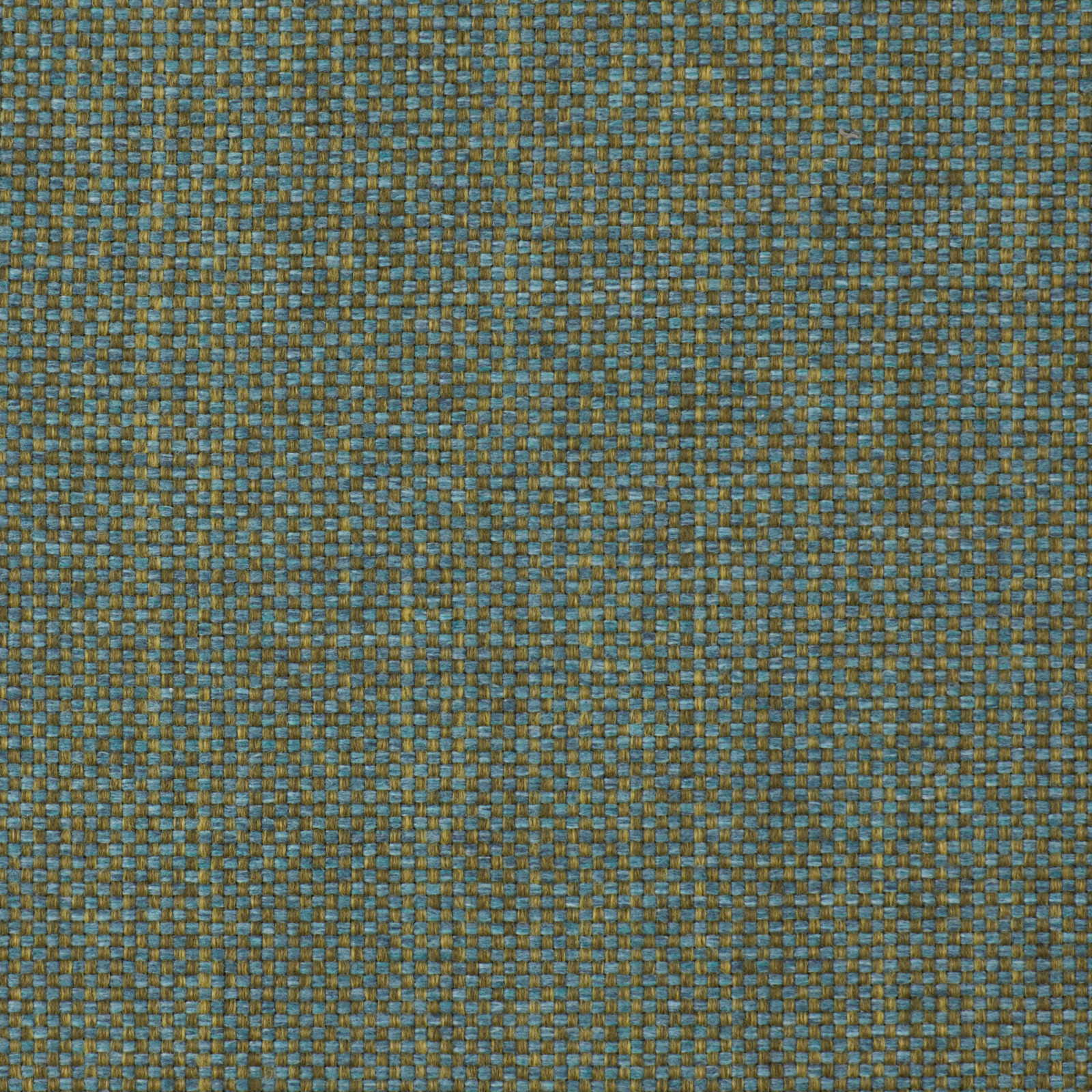 Spruce