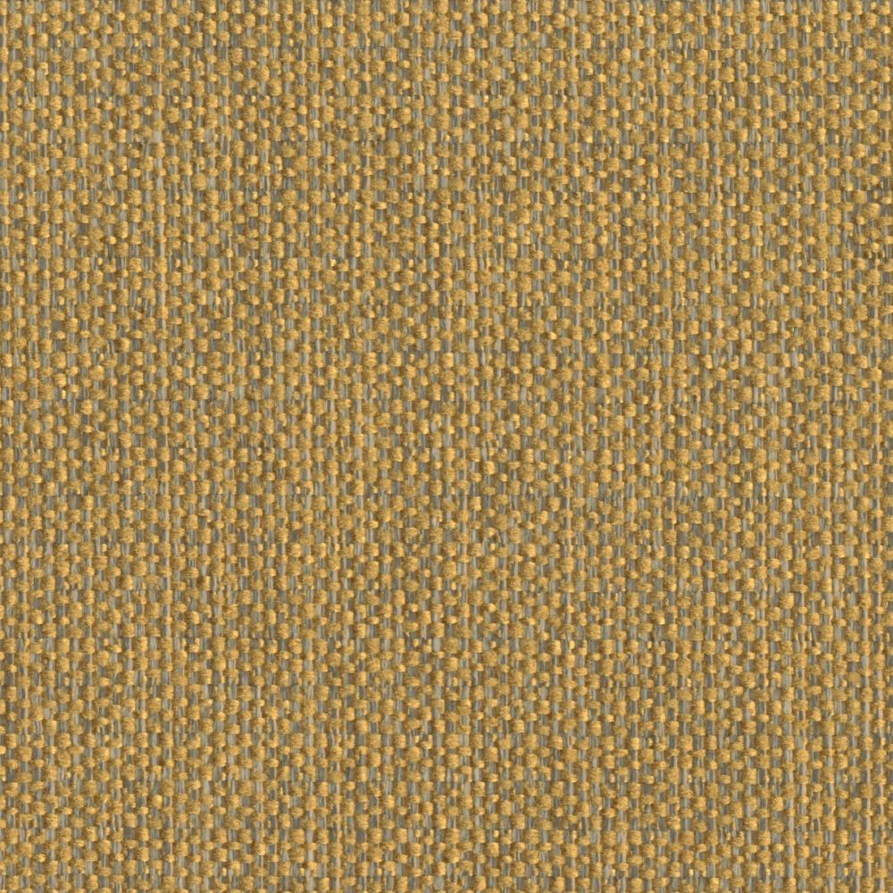 Loco E12 Gold