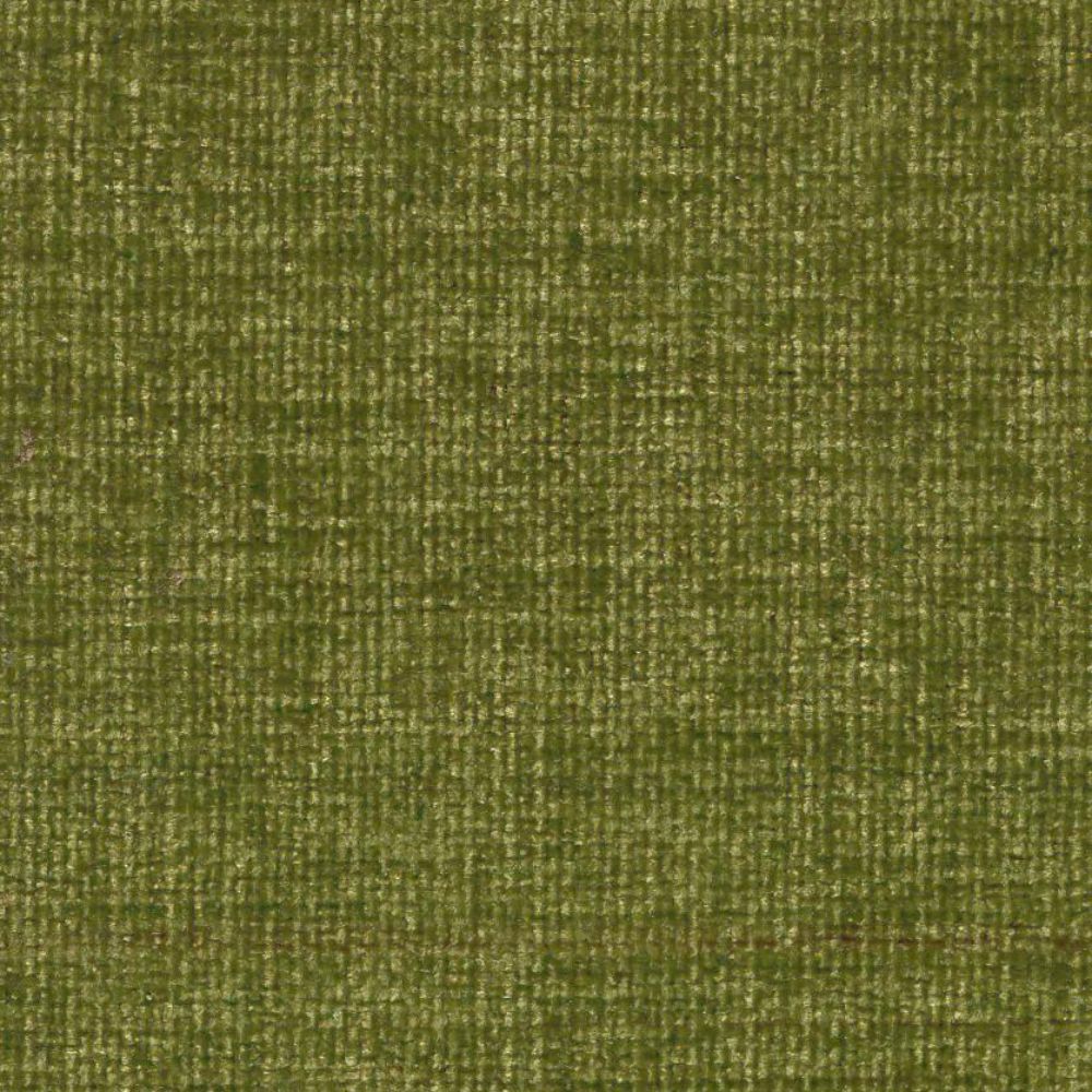 Marmotte C6 Moss