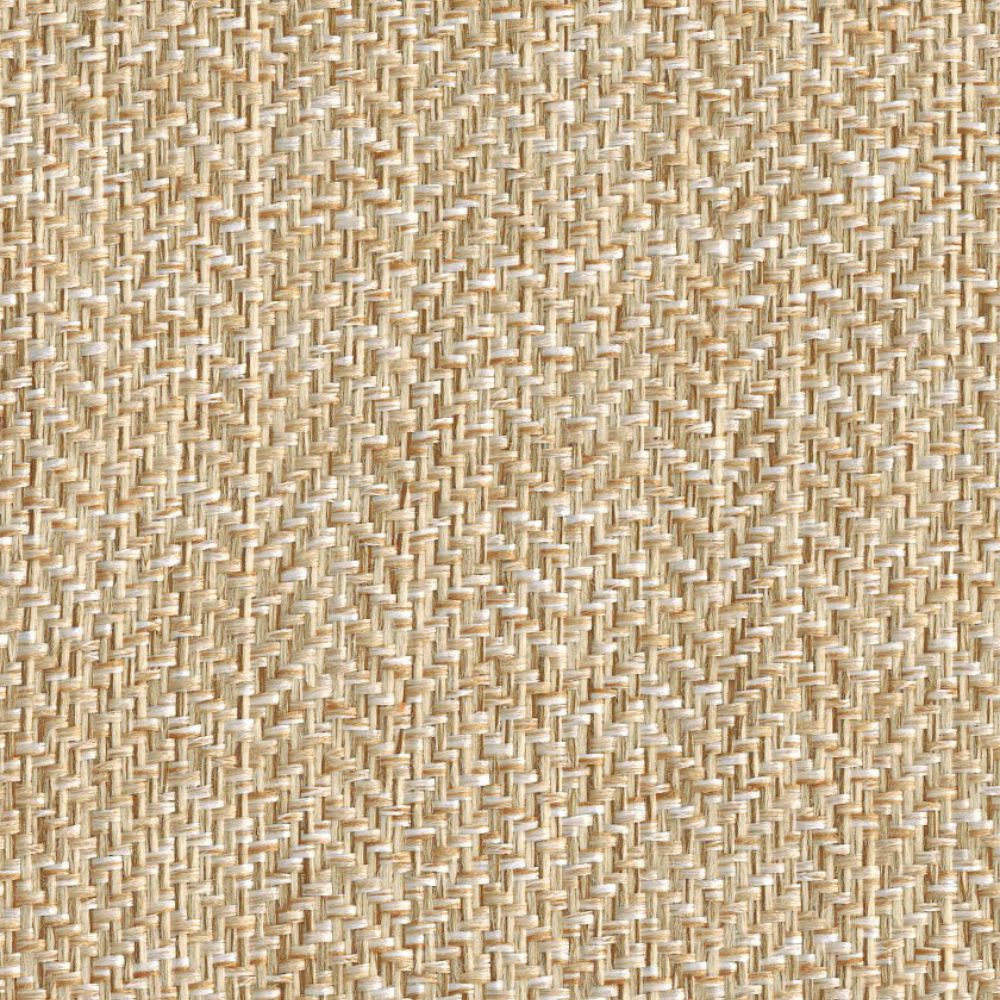 Slalom C2 Cane
