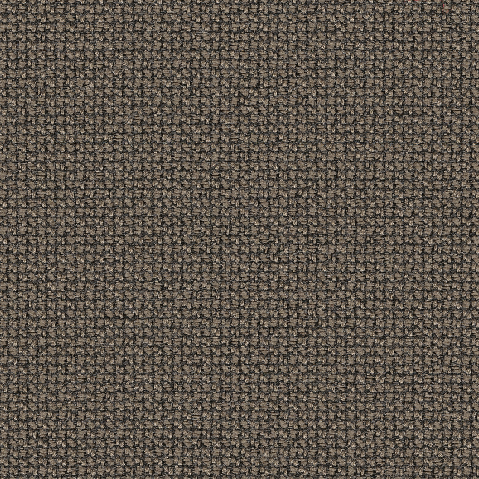 61169