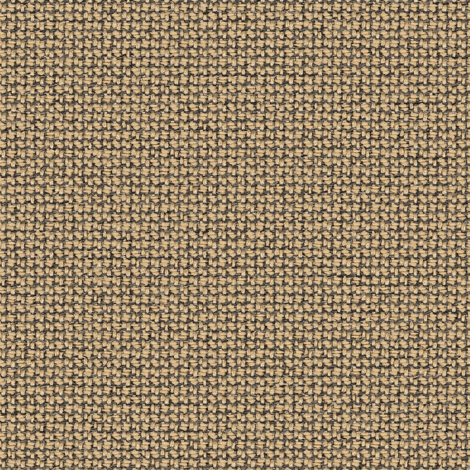 61233