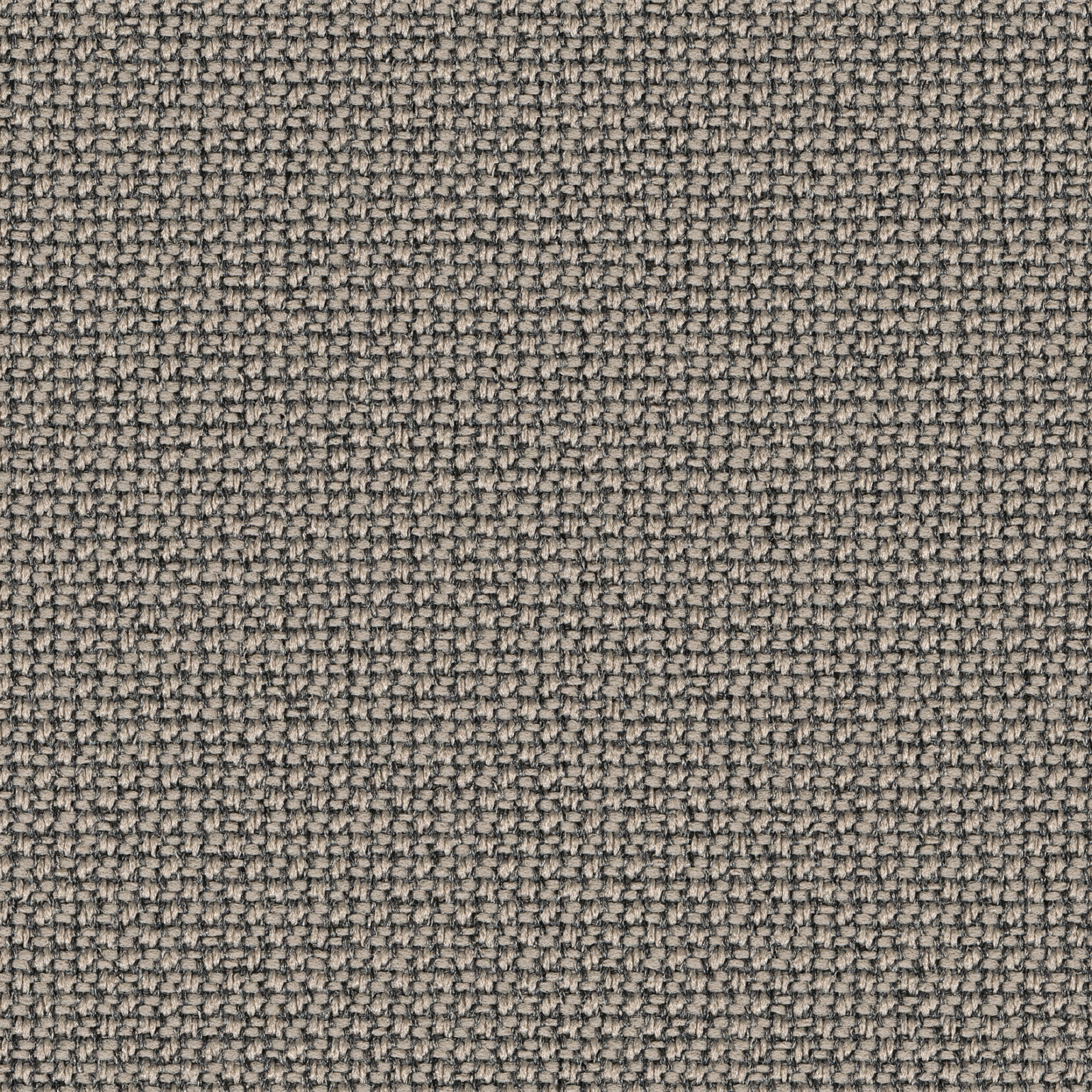 61259