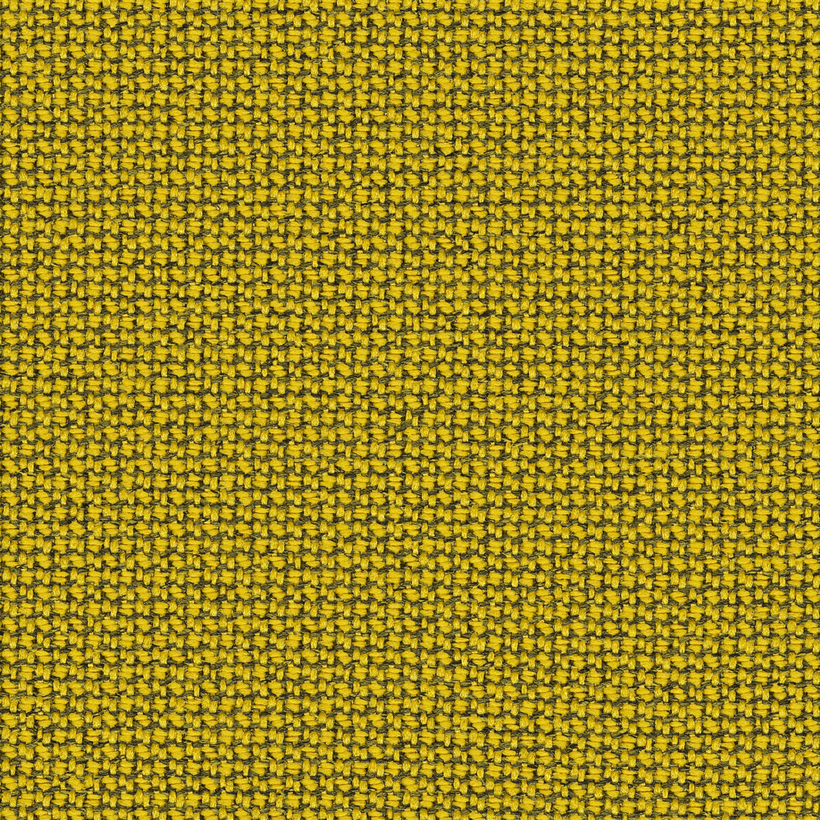 62084