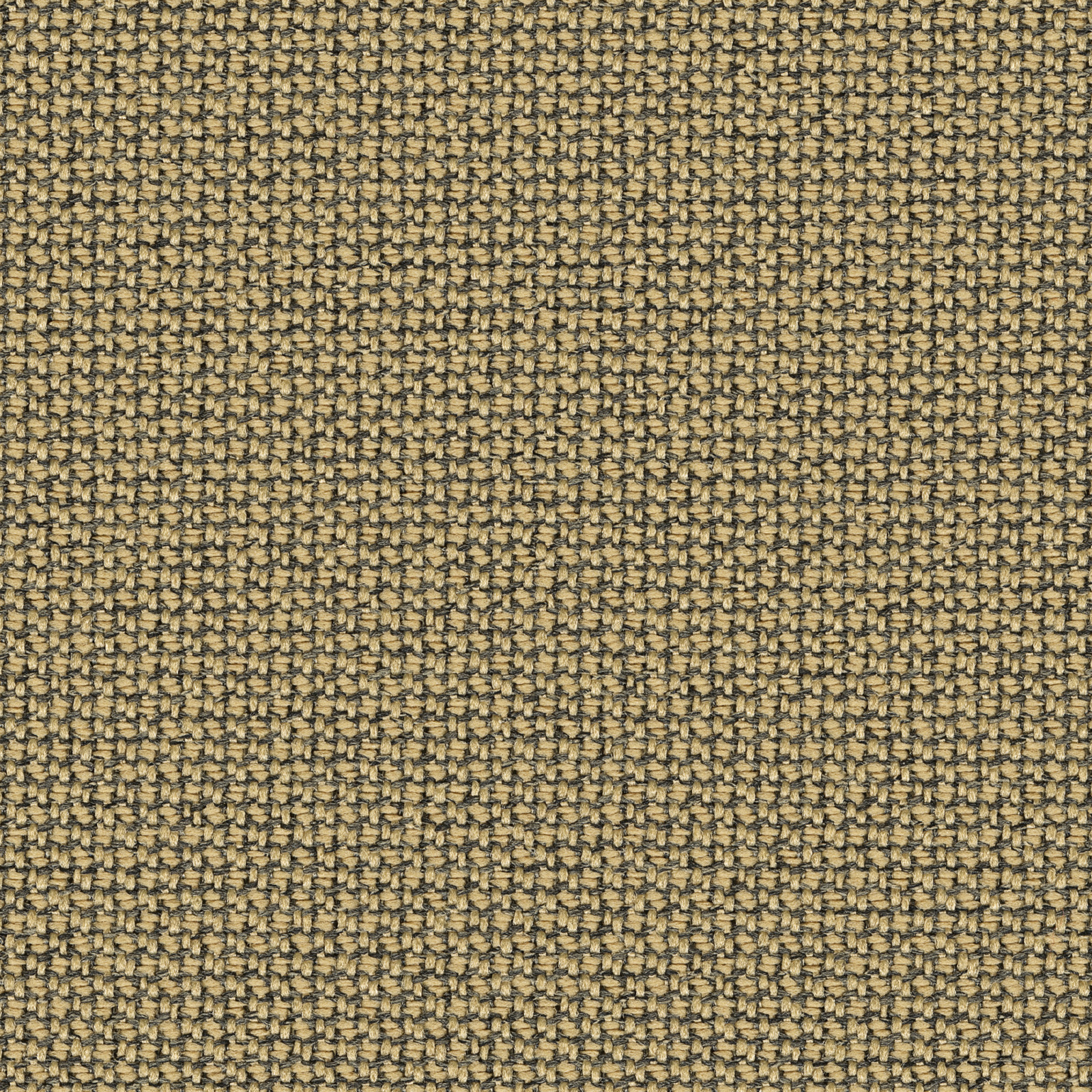 62126