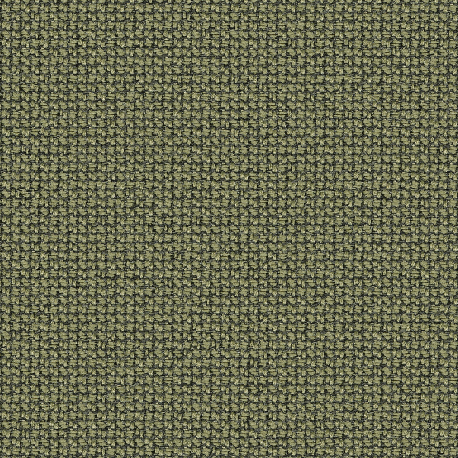 68261