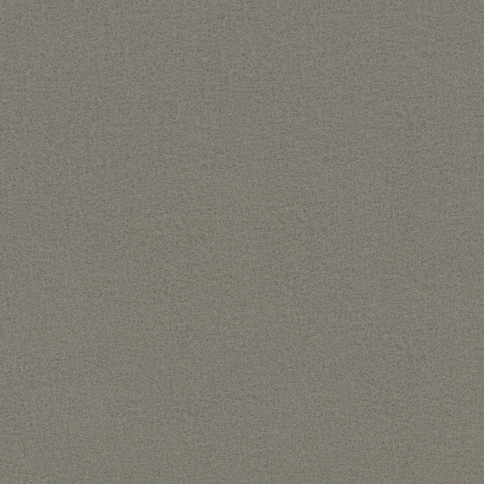 Warm Grey