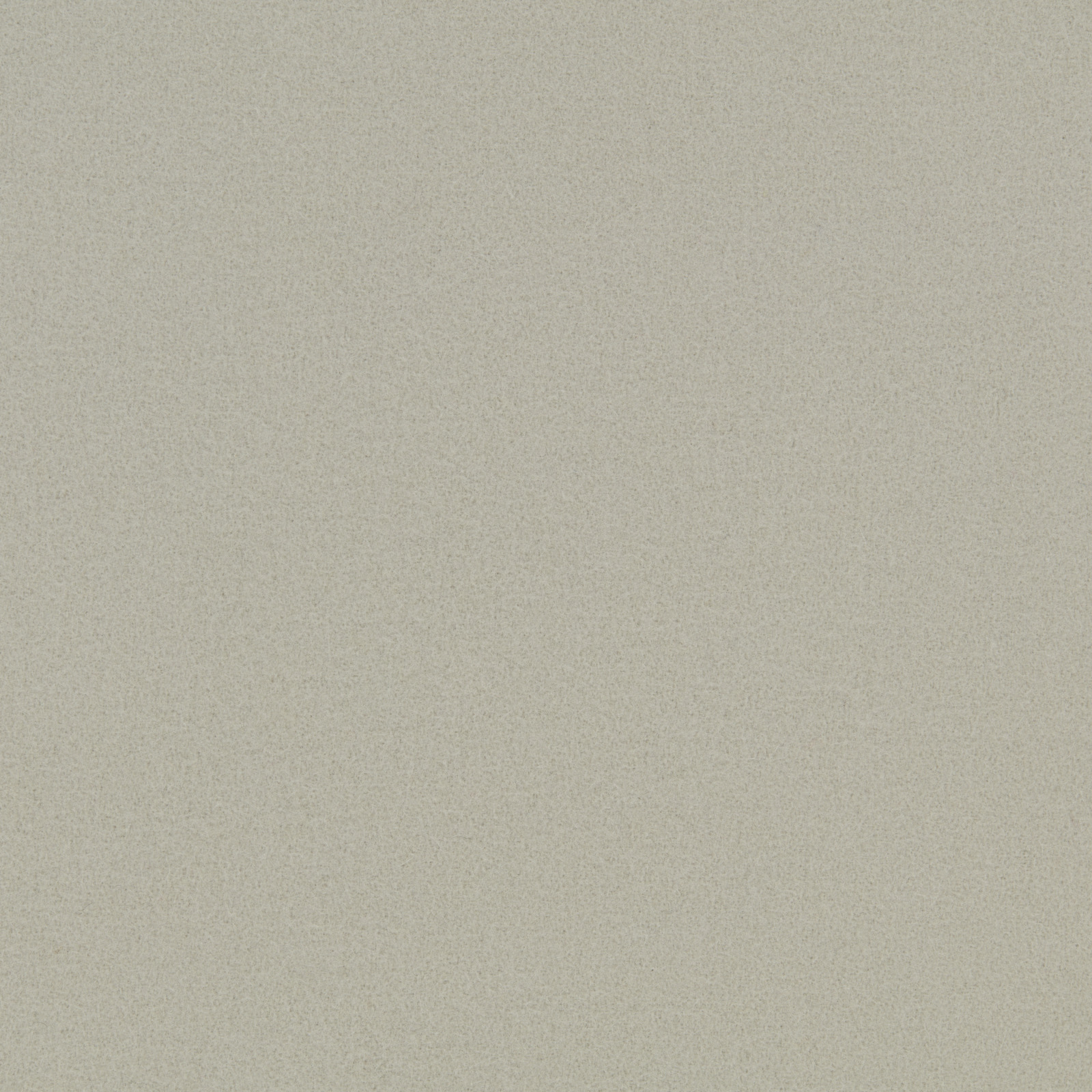 Winter White