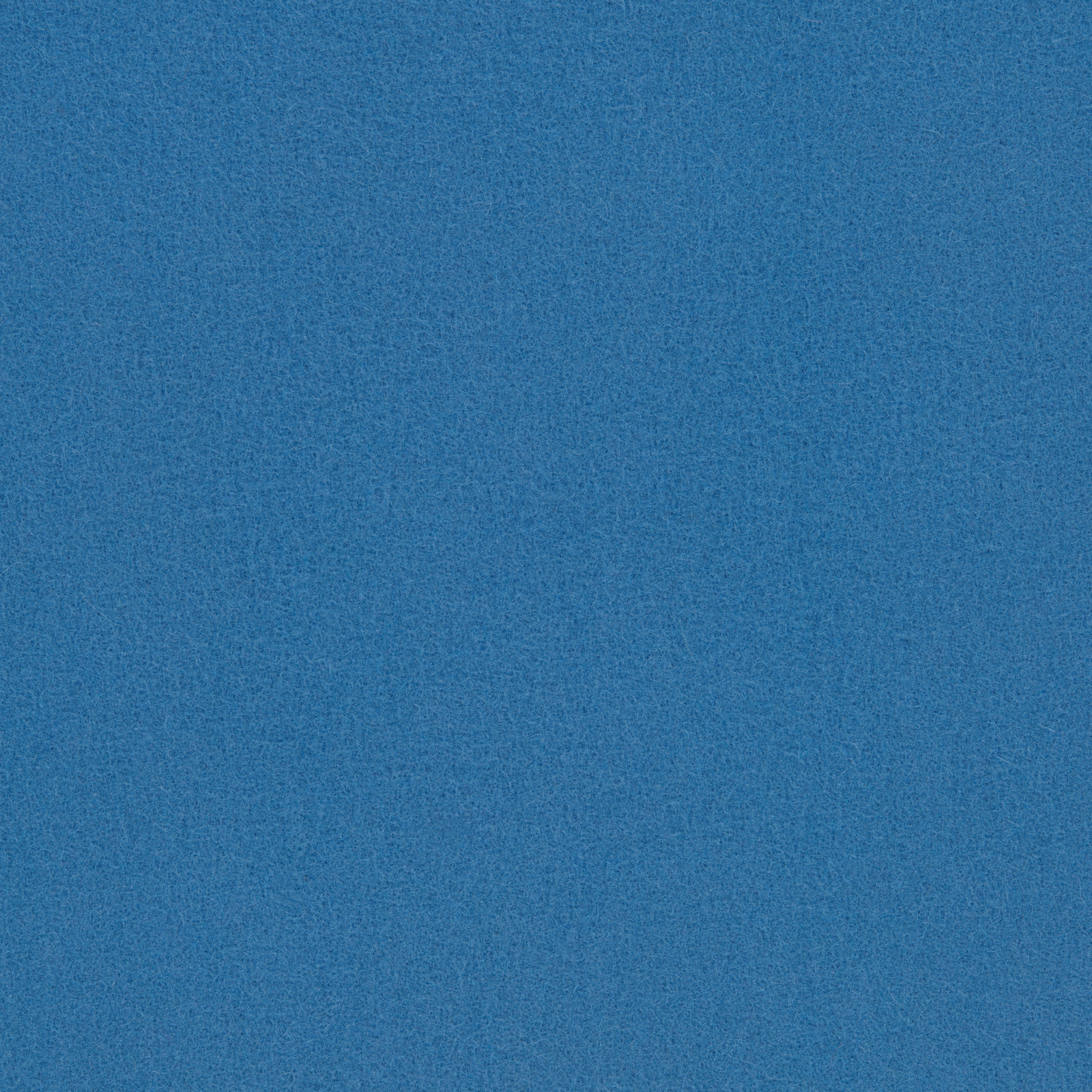 Bright Blue