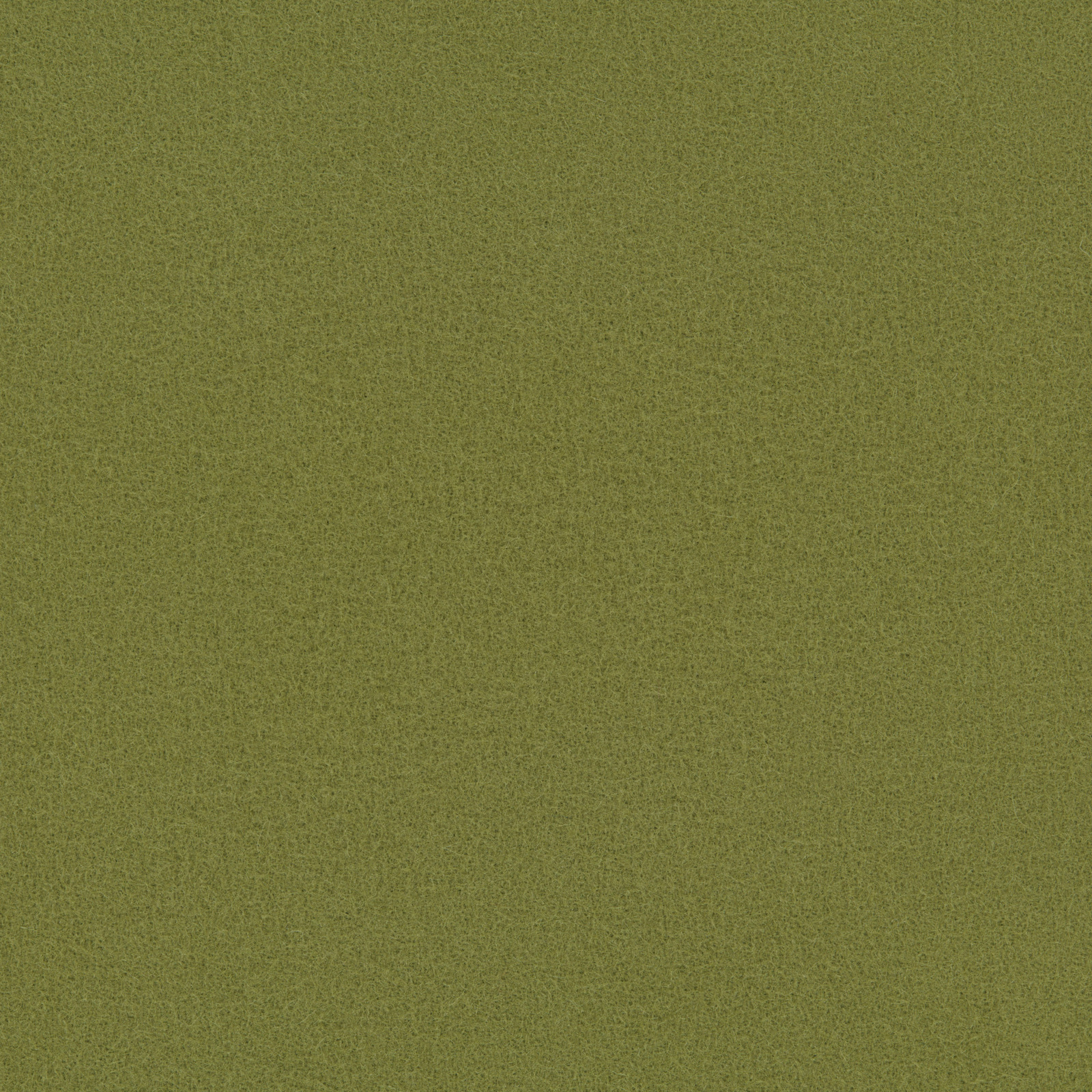 Wasabi