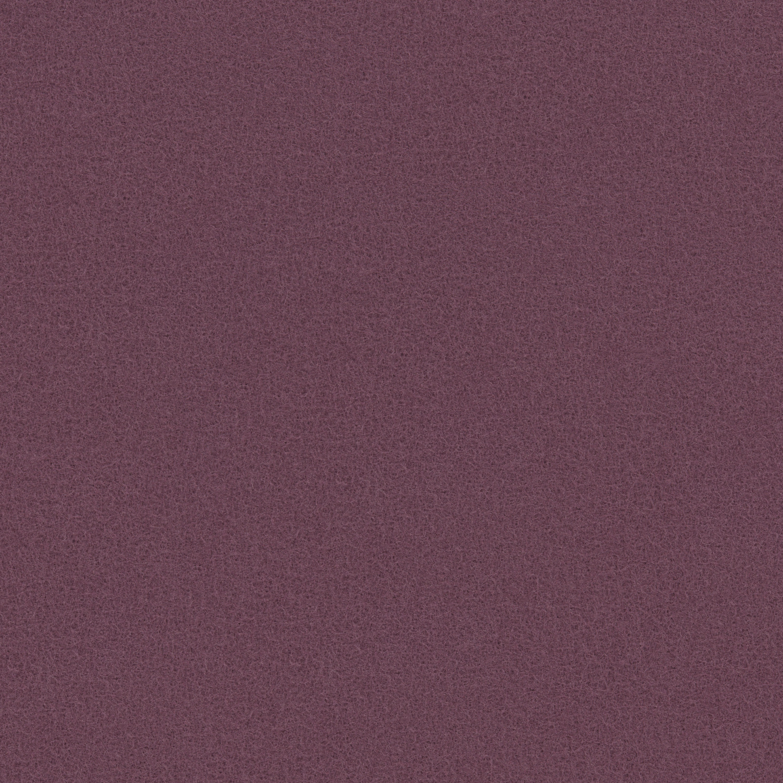 Aubergine