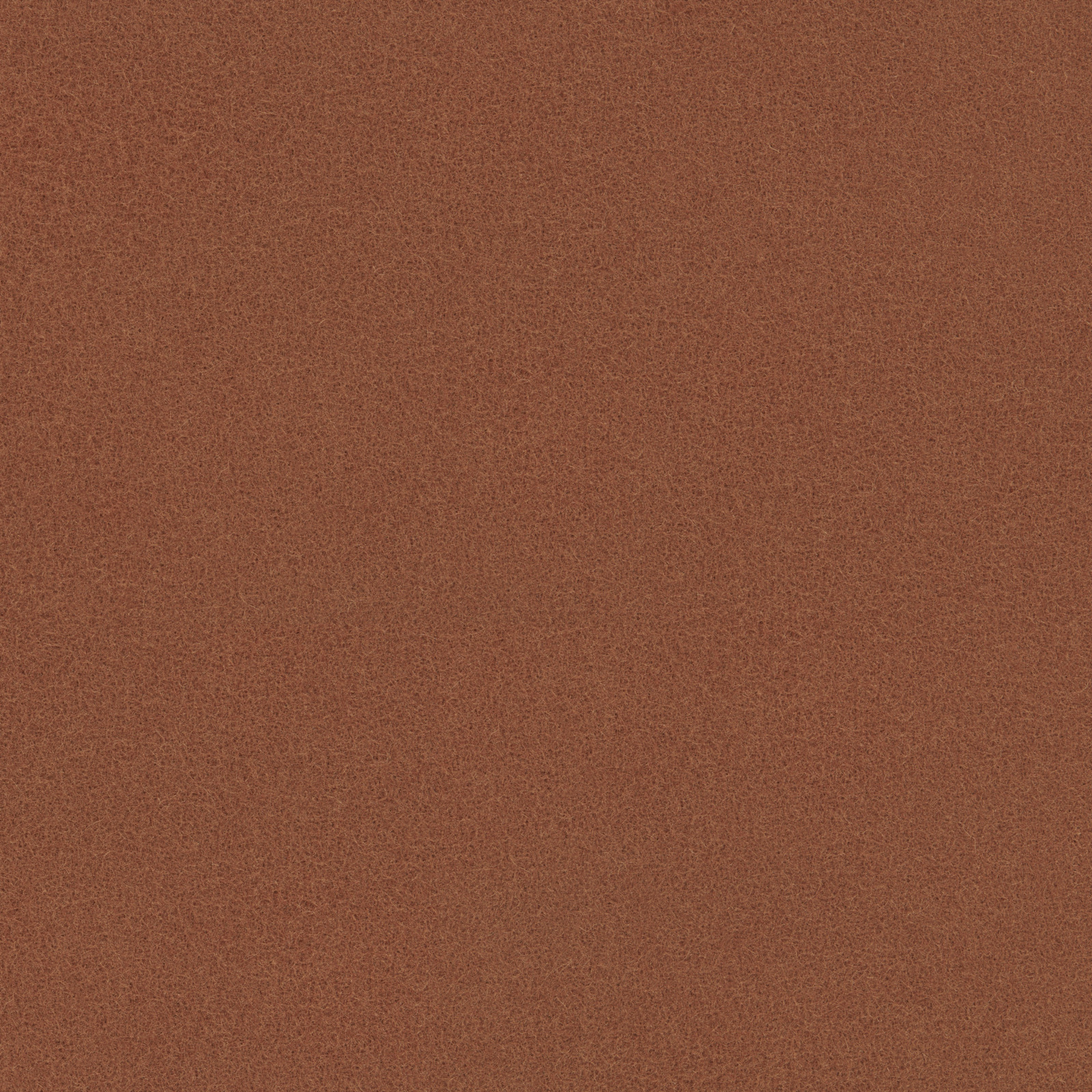 Cedar