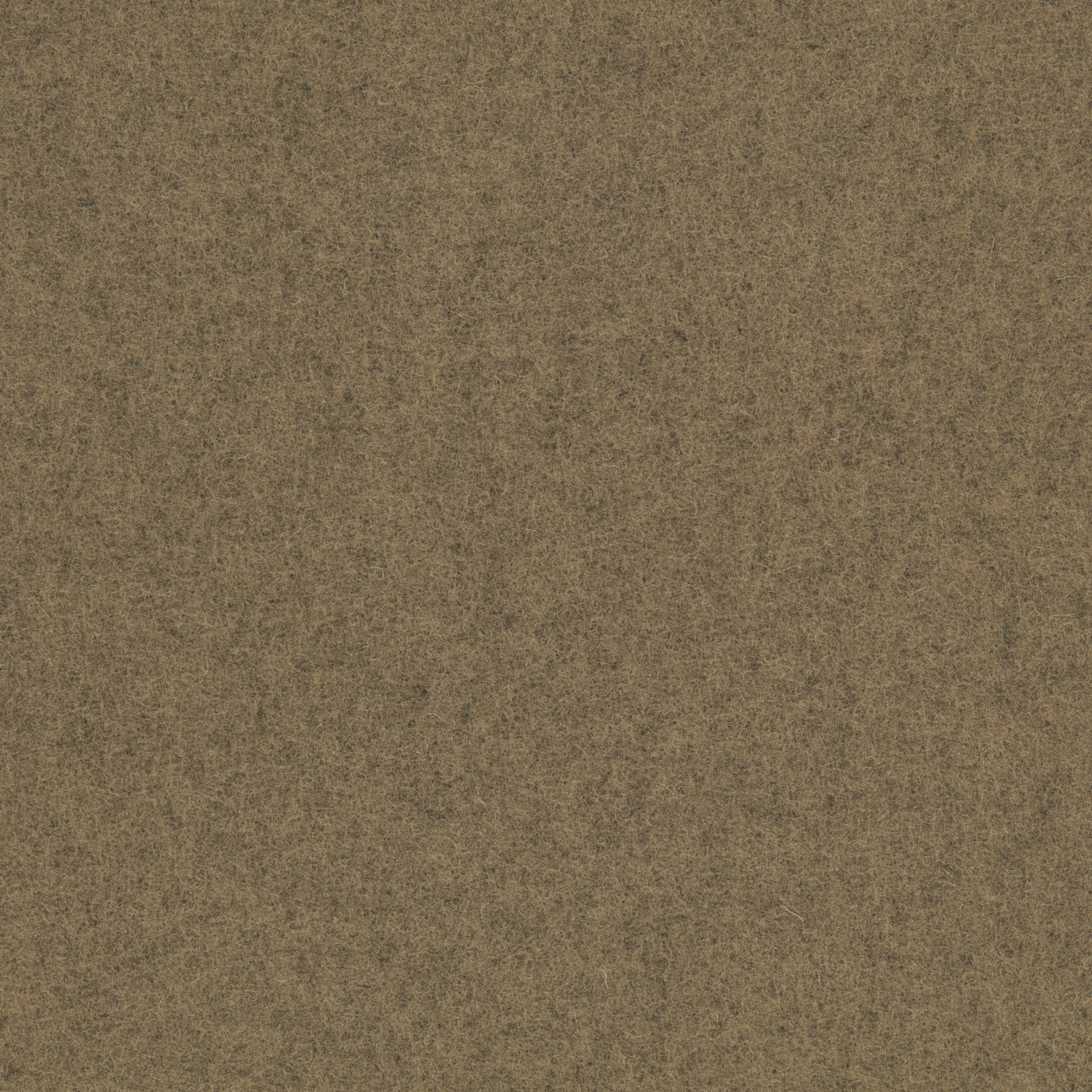 Mocha