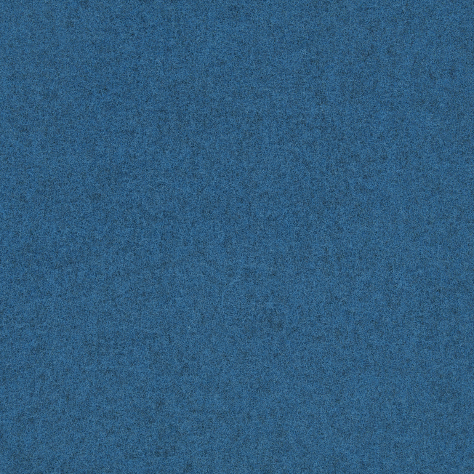 Caribbean Blue