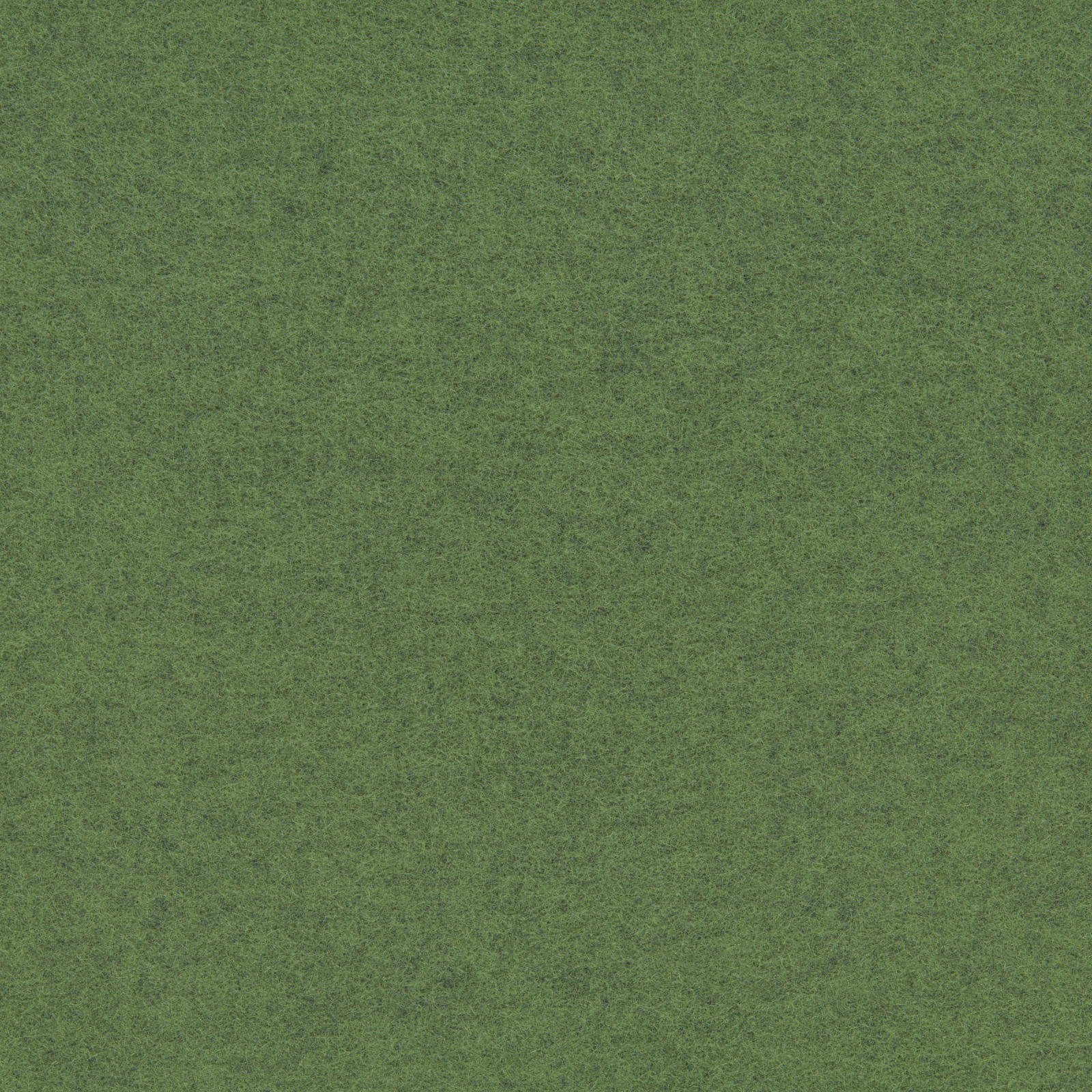 Moss