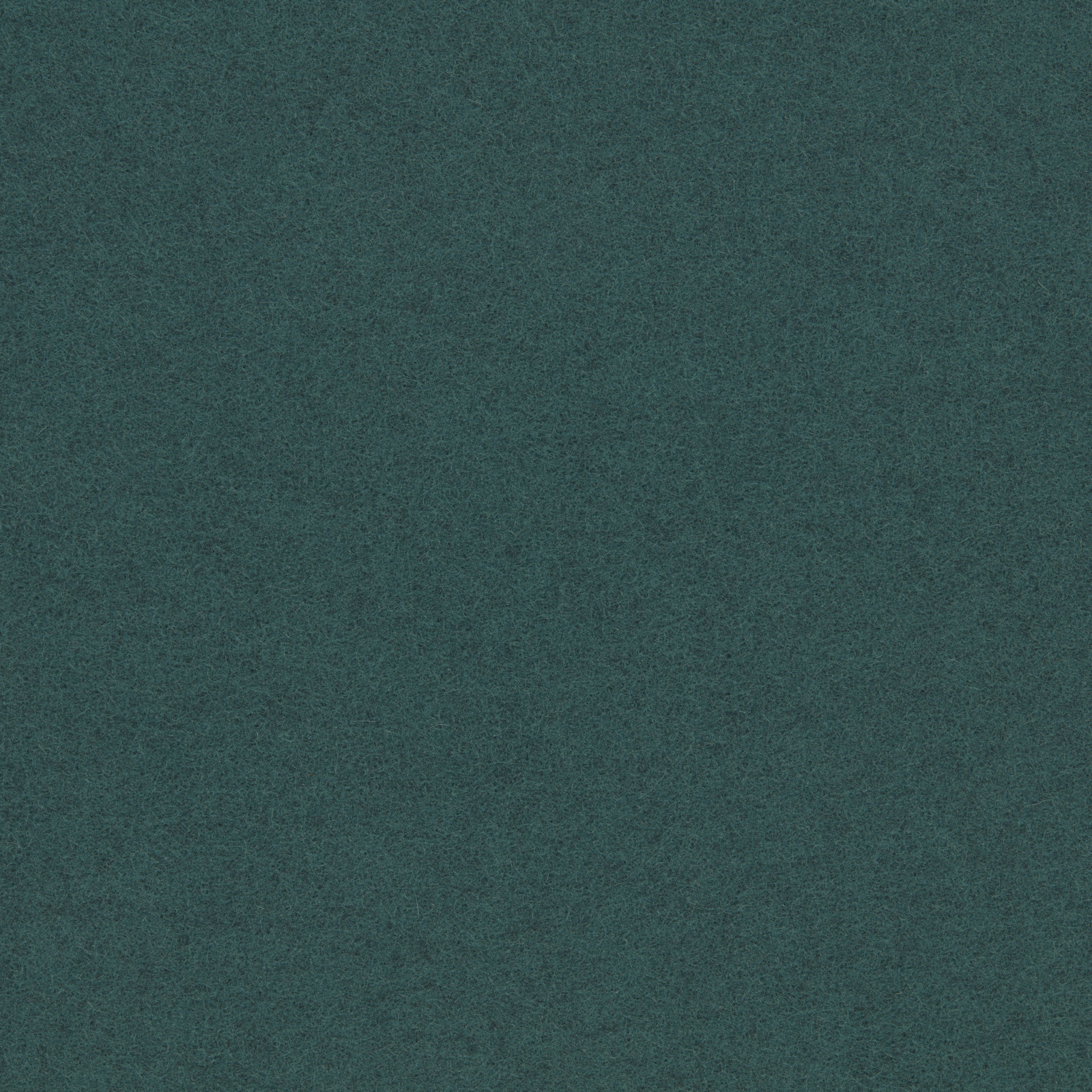 Spruce