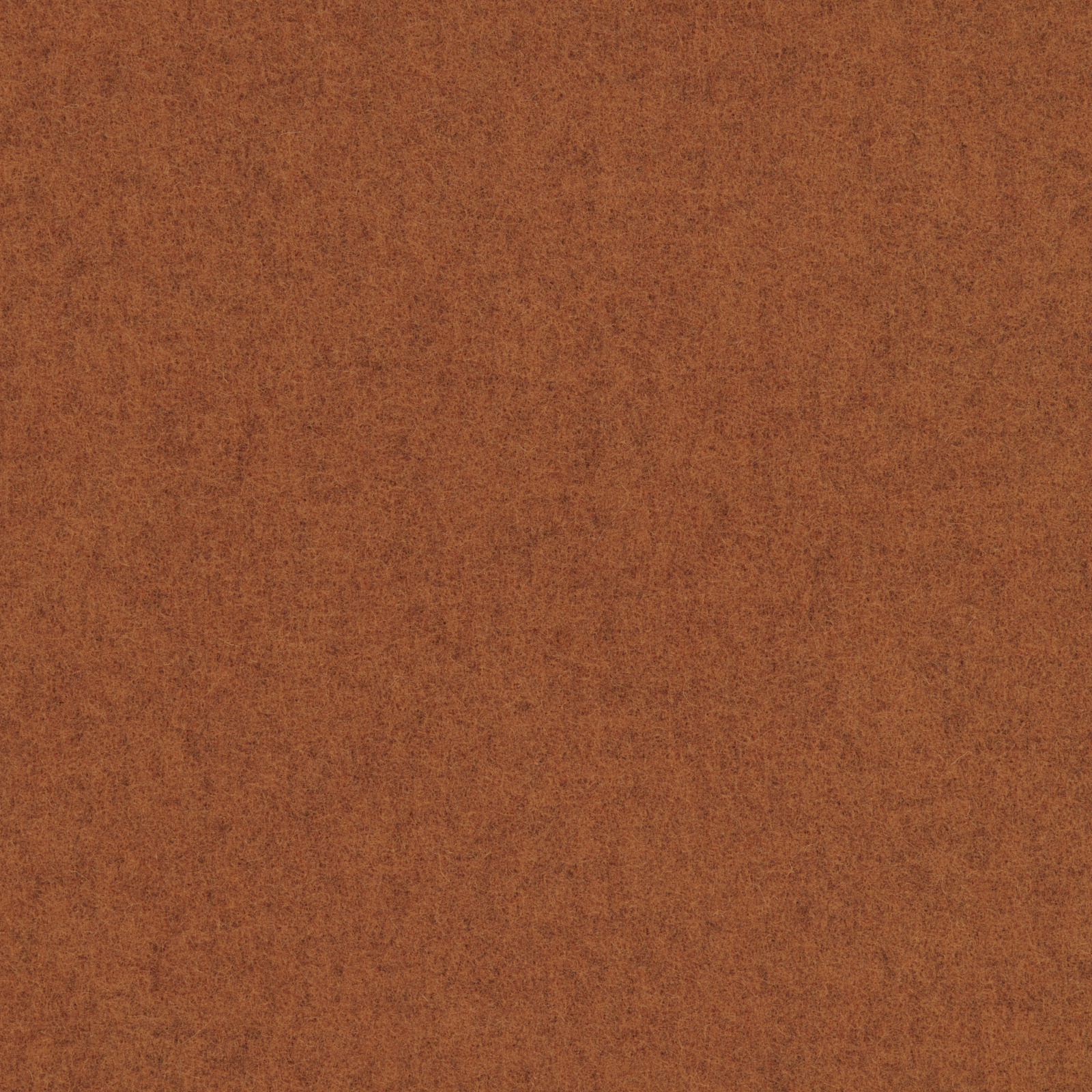 Spice