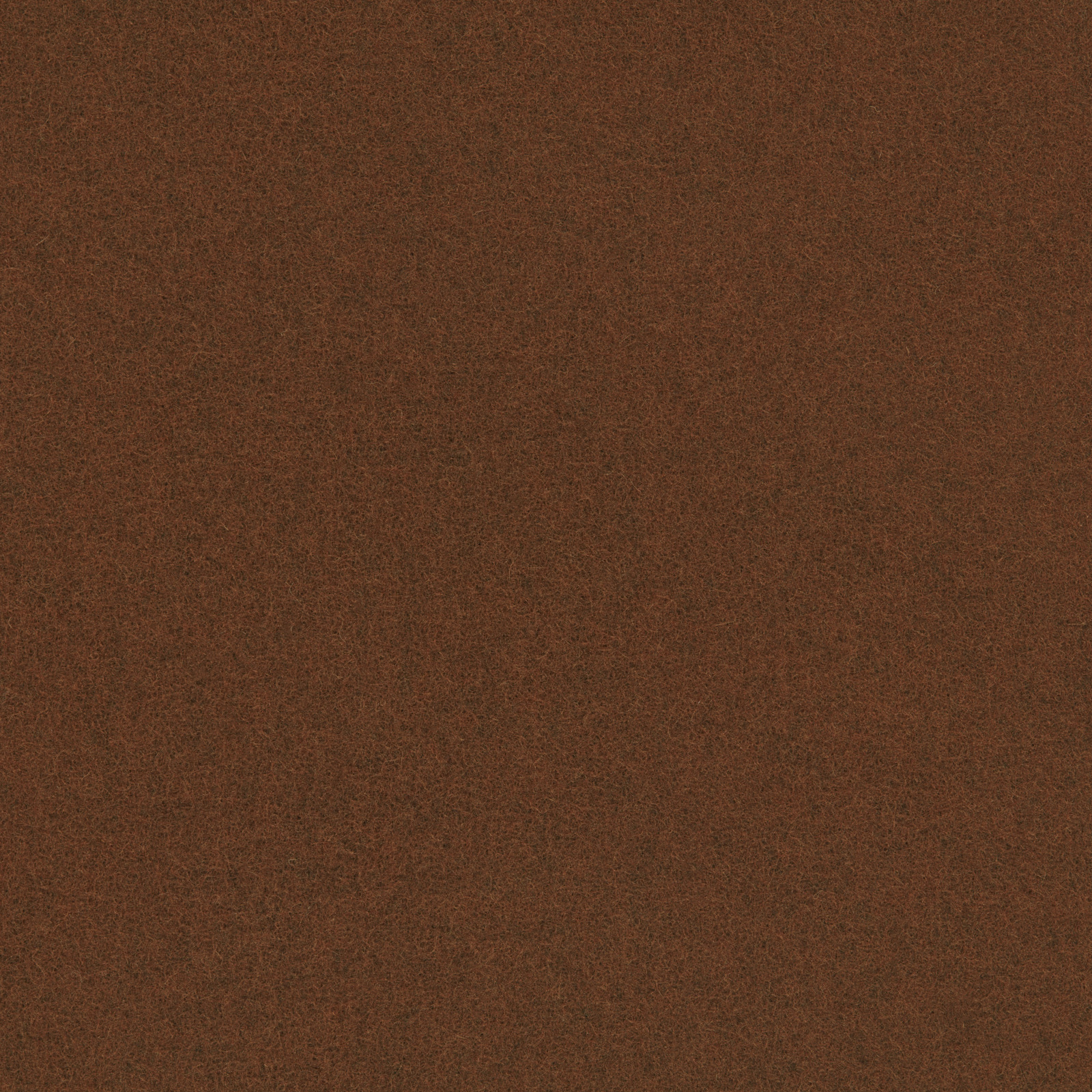 Pecan