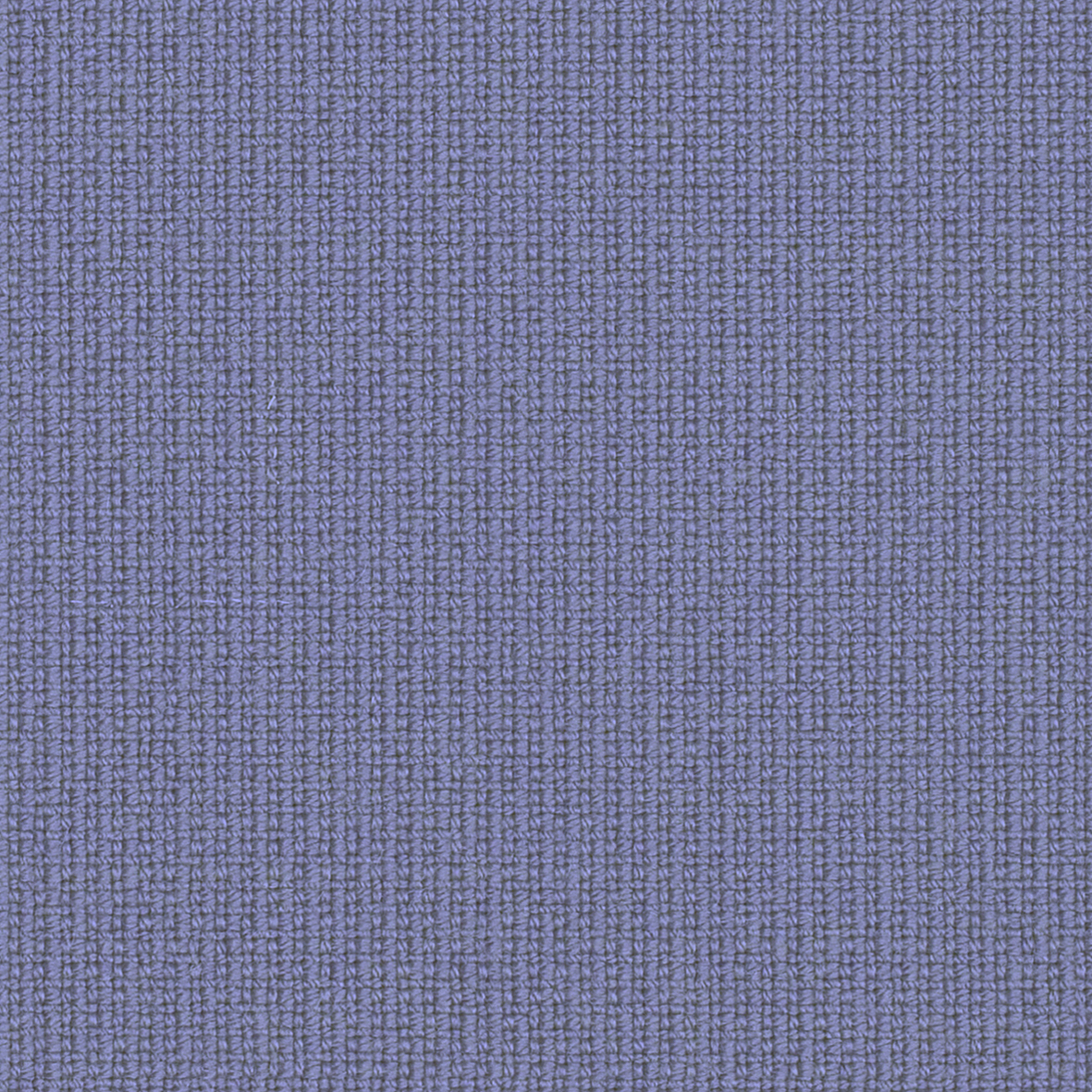 65081