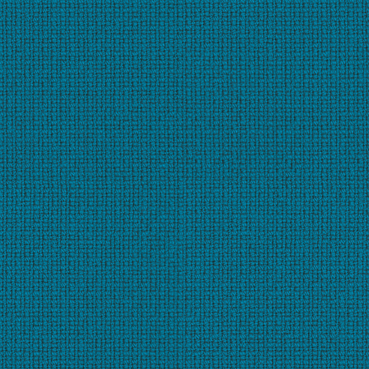 67004